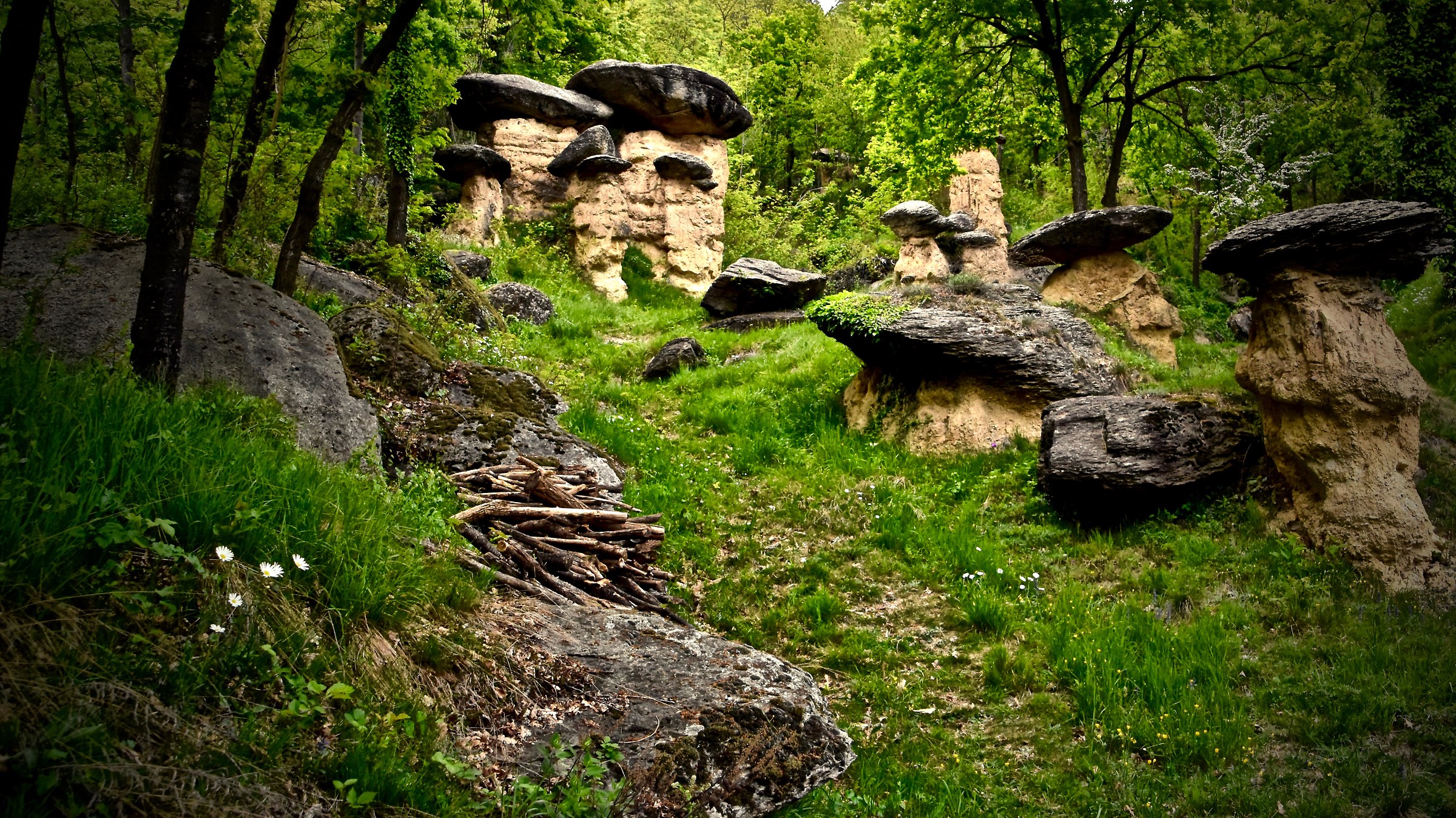 Ciccia Pera nature reserve