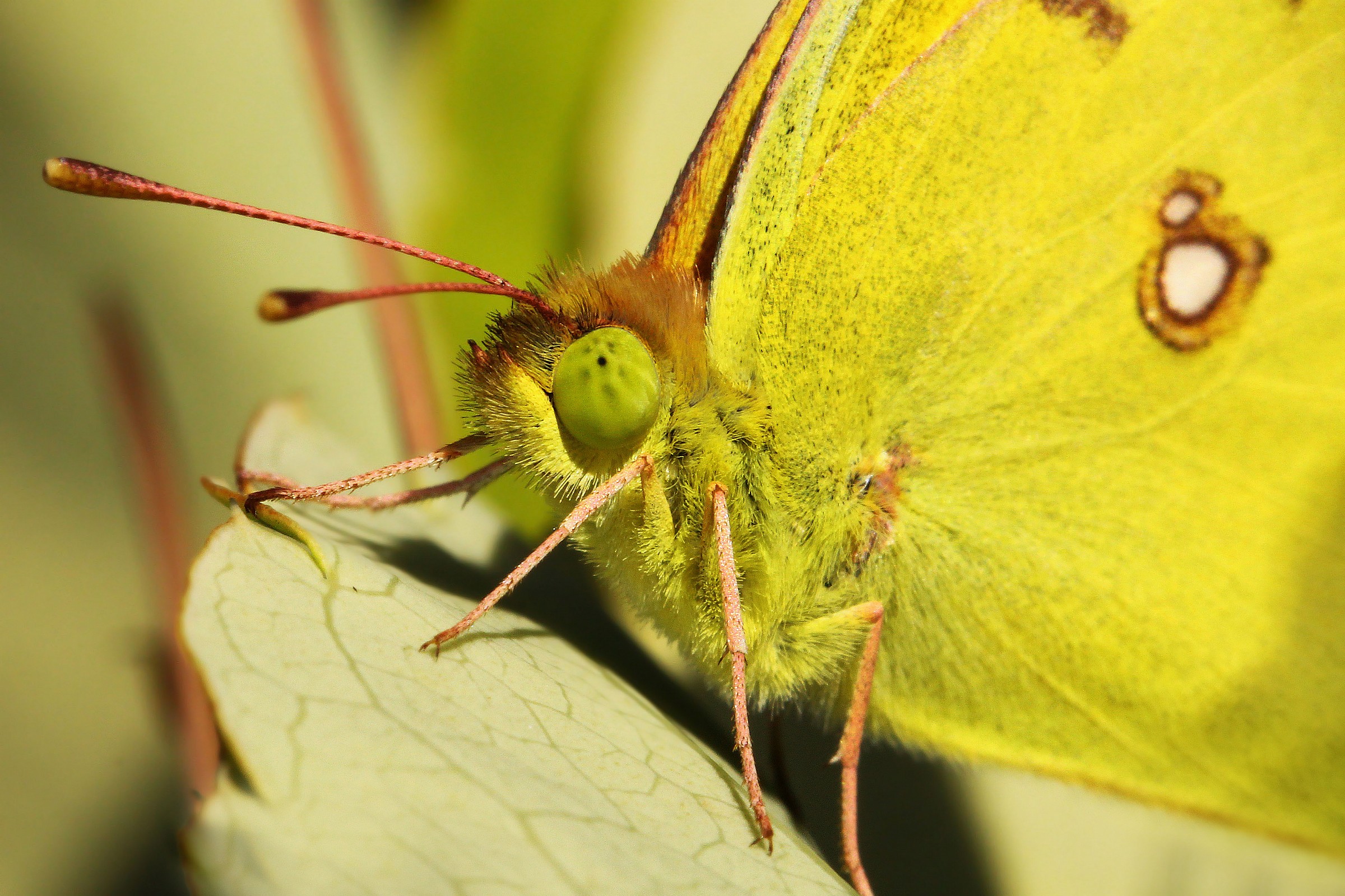 Dwelling 30 seconds ...