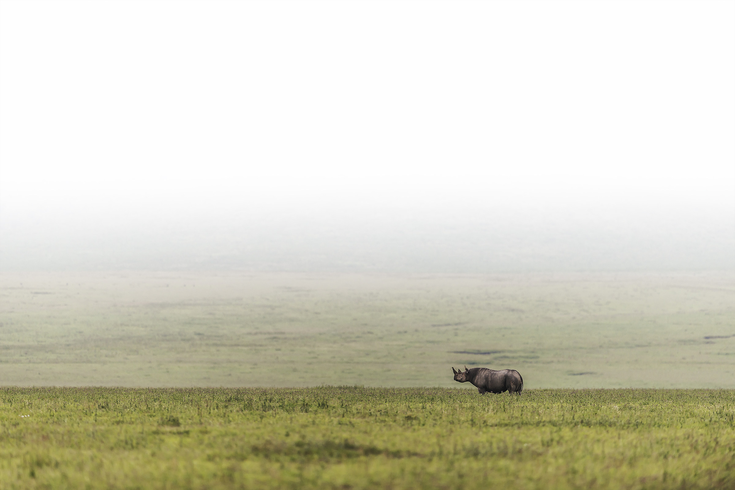 Tanzania 2017 - Ngorongoro crater