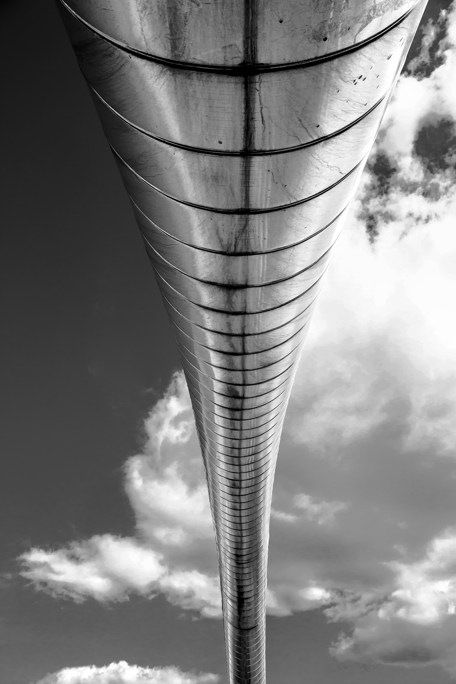 Thorns in the sky b & w