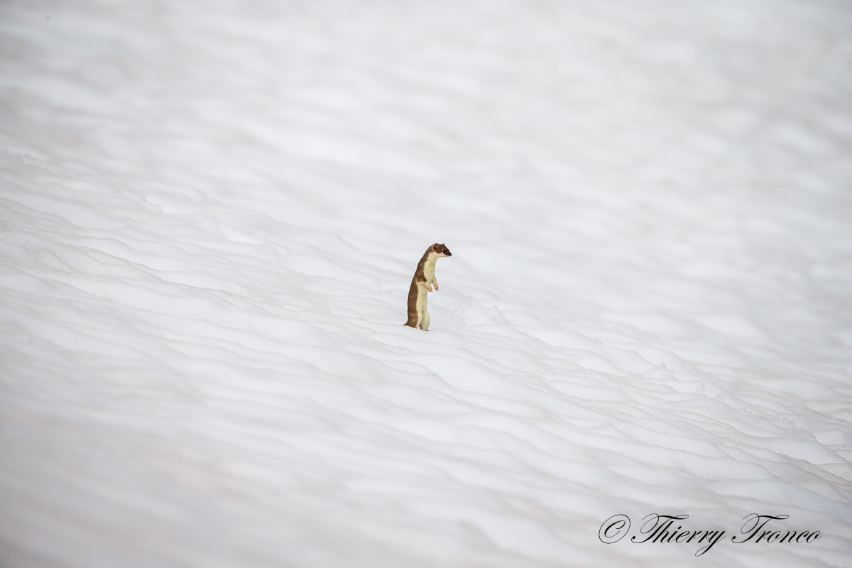 Mi sa che ho sbagliato vestito...