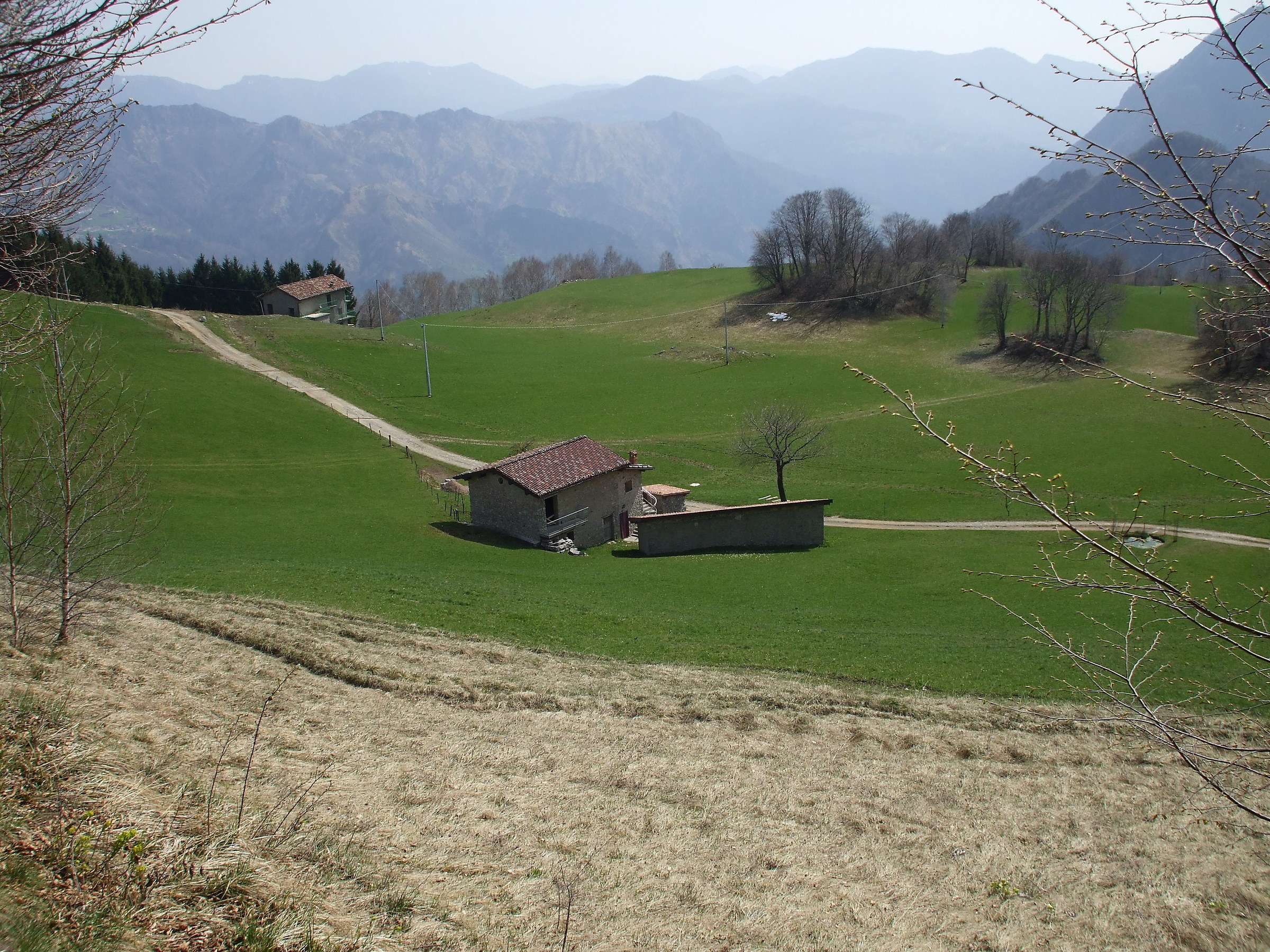 Zona sopra il paese di San Pellegrino ma non ricordo no