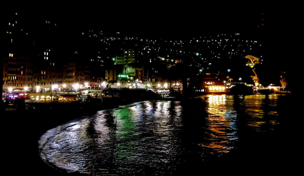 Camogli by night