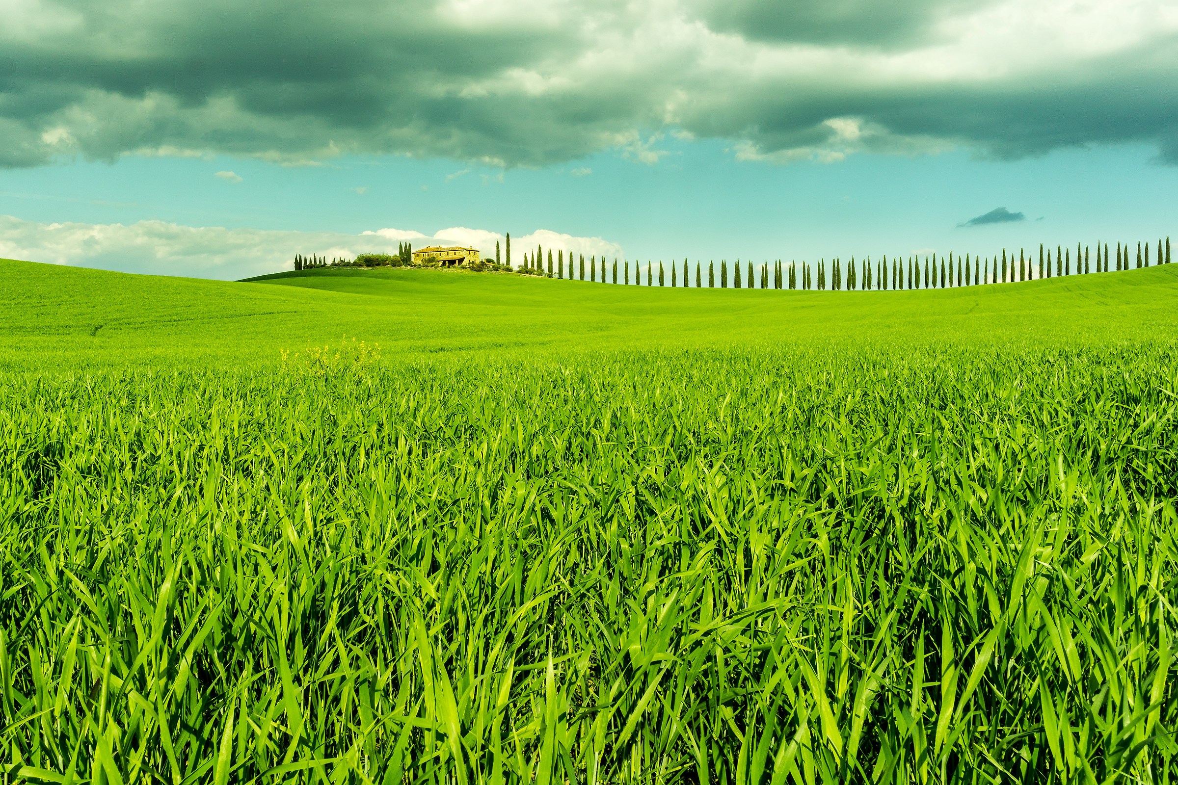 Val d'Orcia - hill sheaves