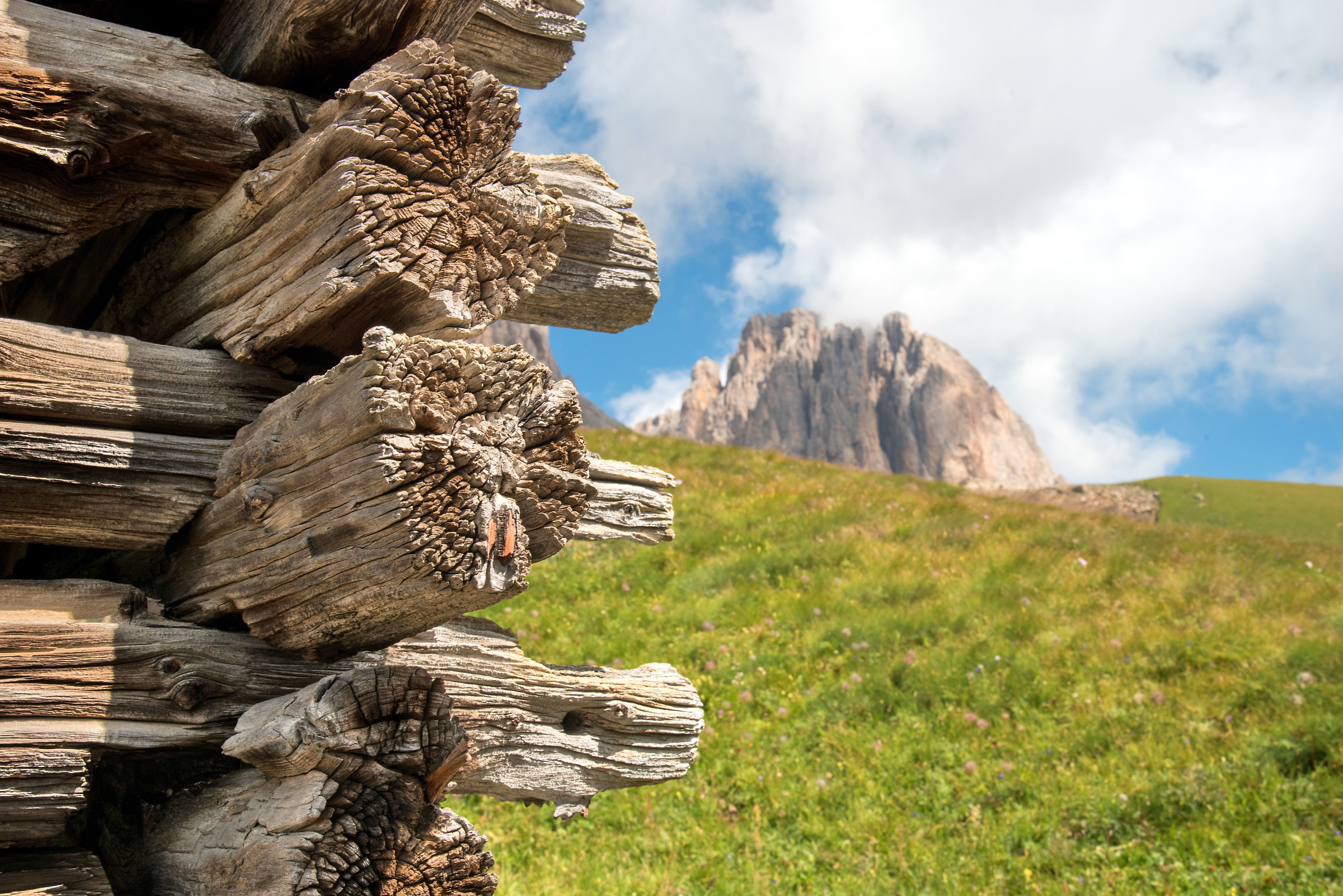 Sentiero Frederich August - Gruppo del Sassolungo