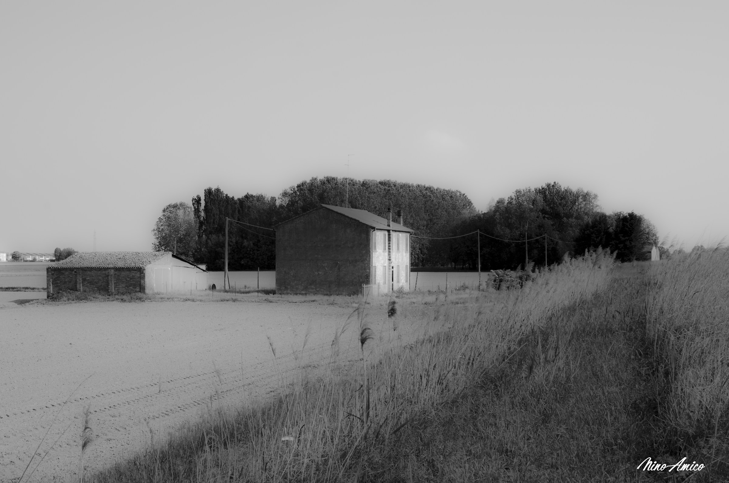 Ferrara countryside