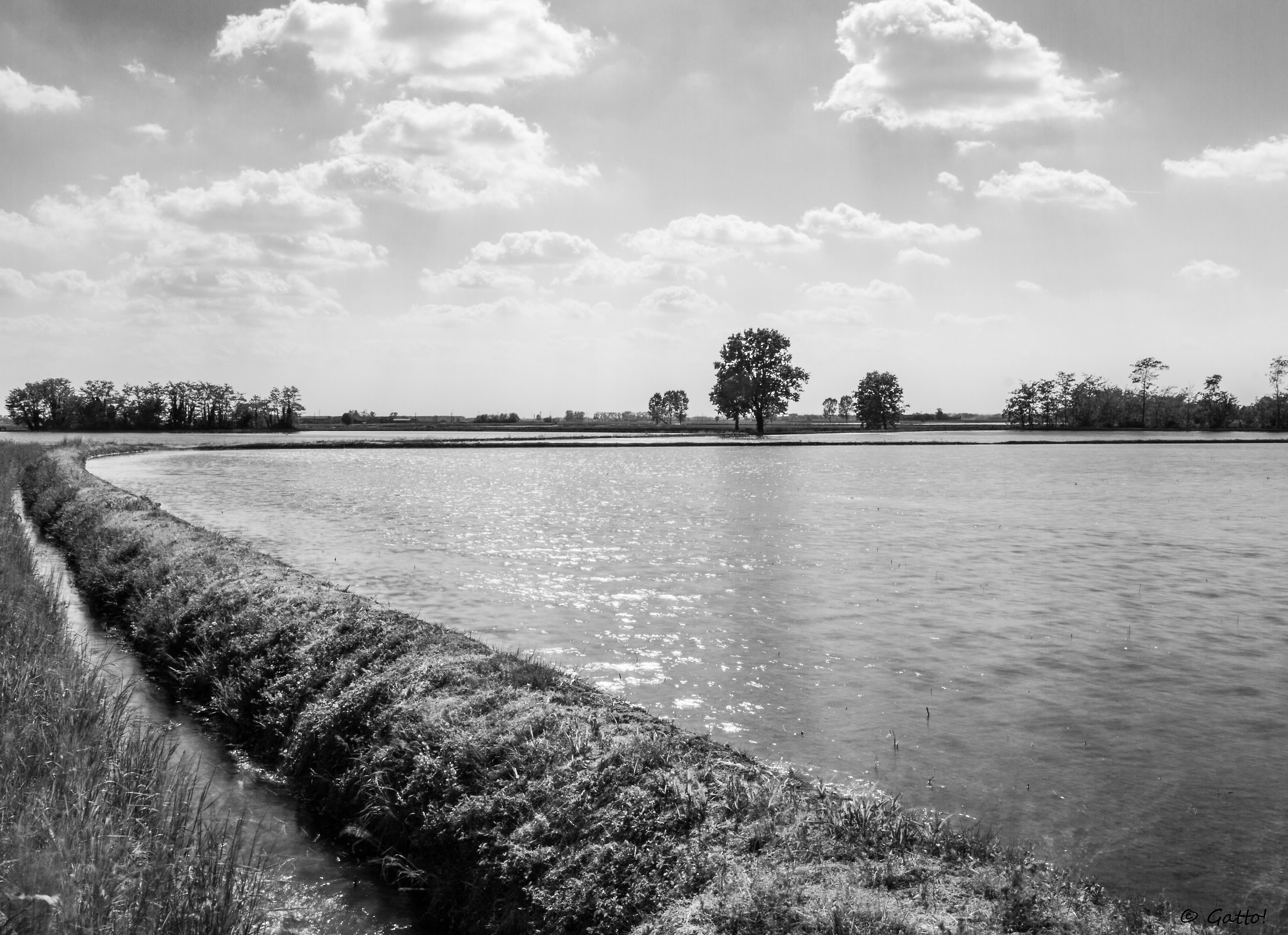 il mare a quadretti -Nibbia-