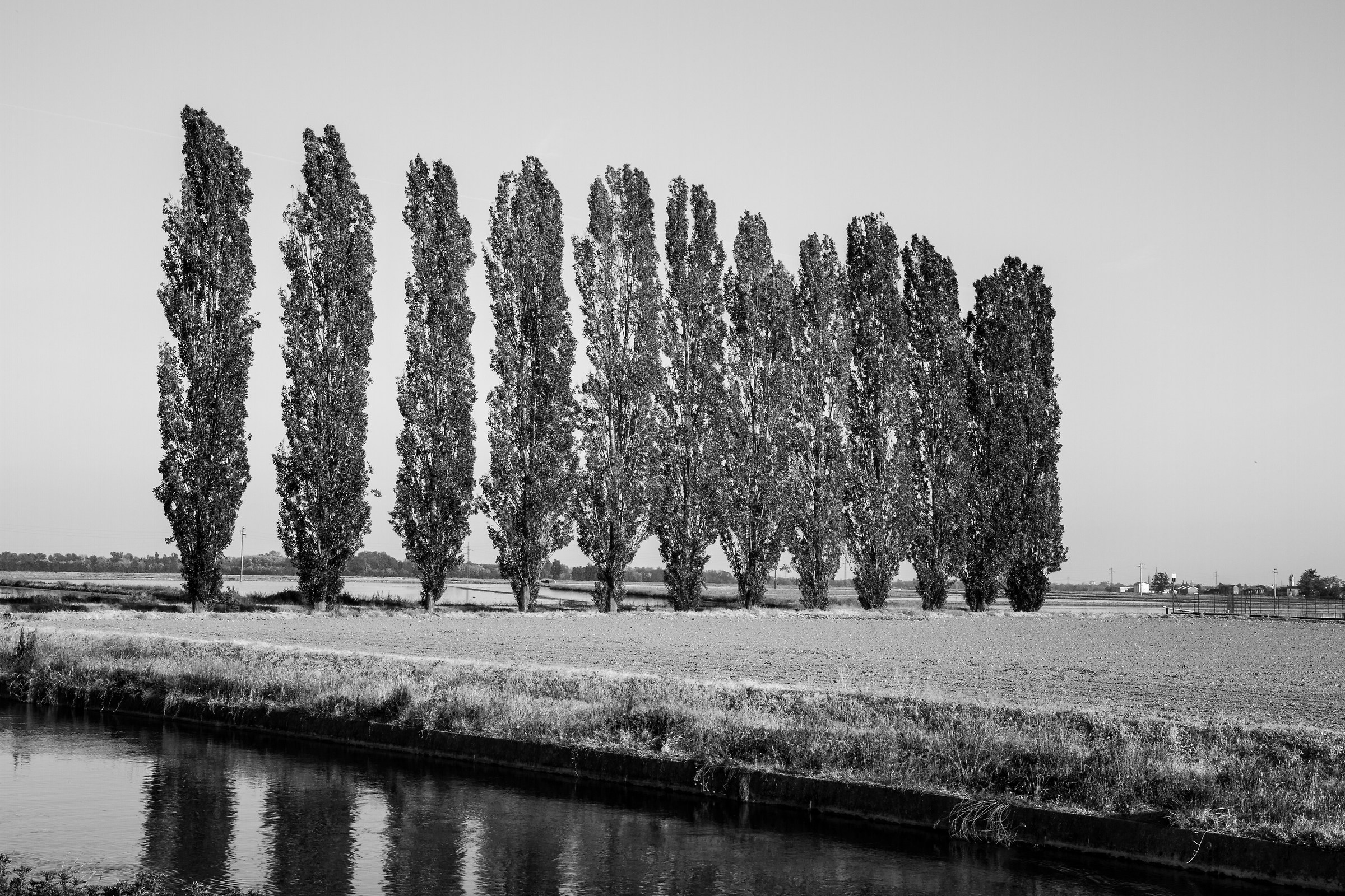 terre di riso San Bernardino -Briona-