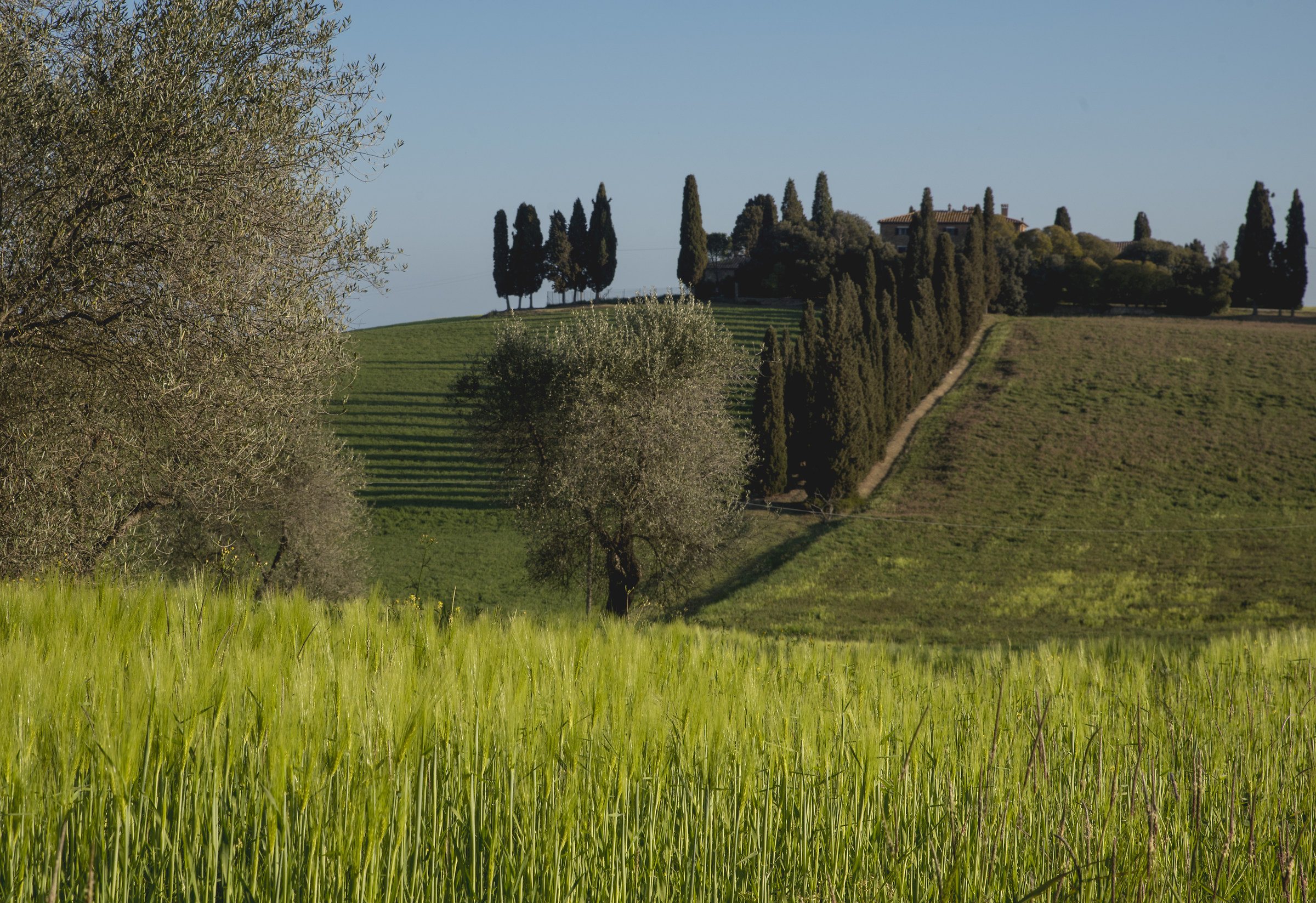 Val d'Orcia