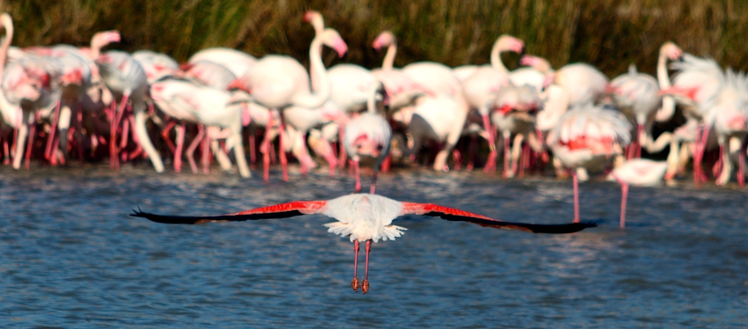 "... Stò returning shit ..."