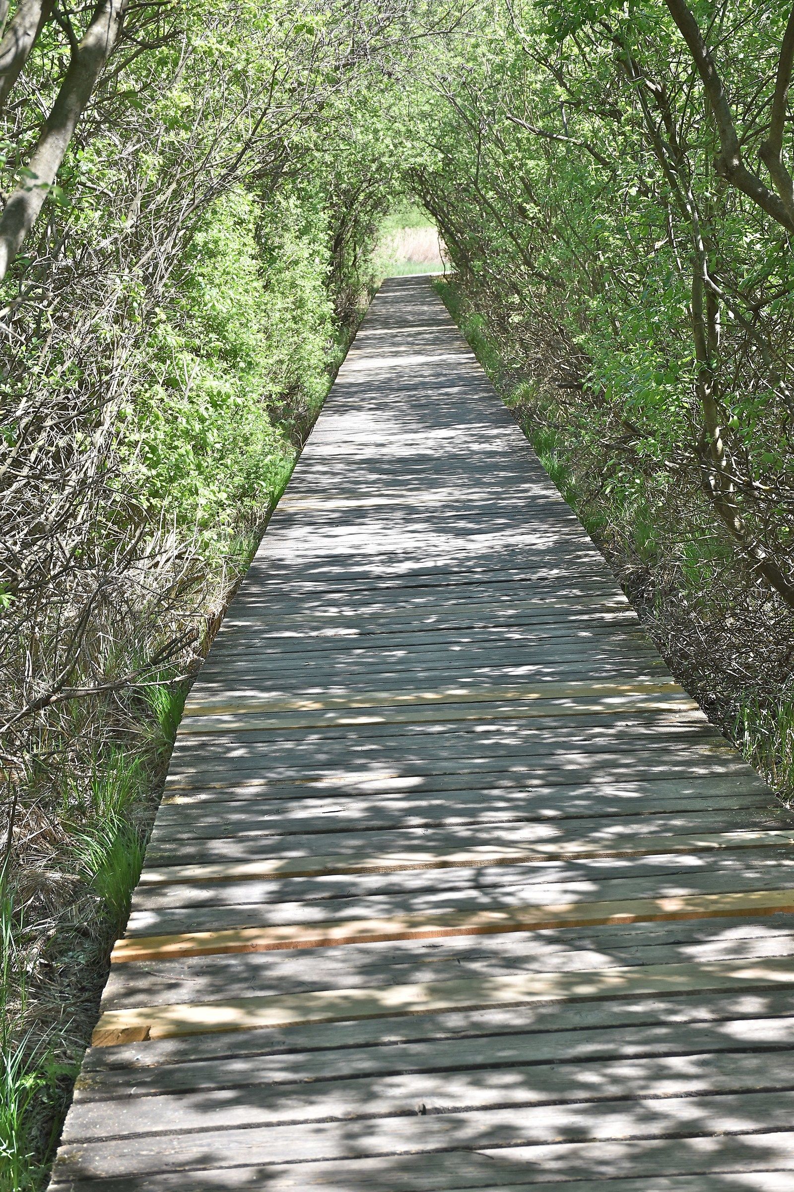 Sentiero al Lago di Caldaro