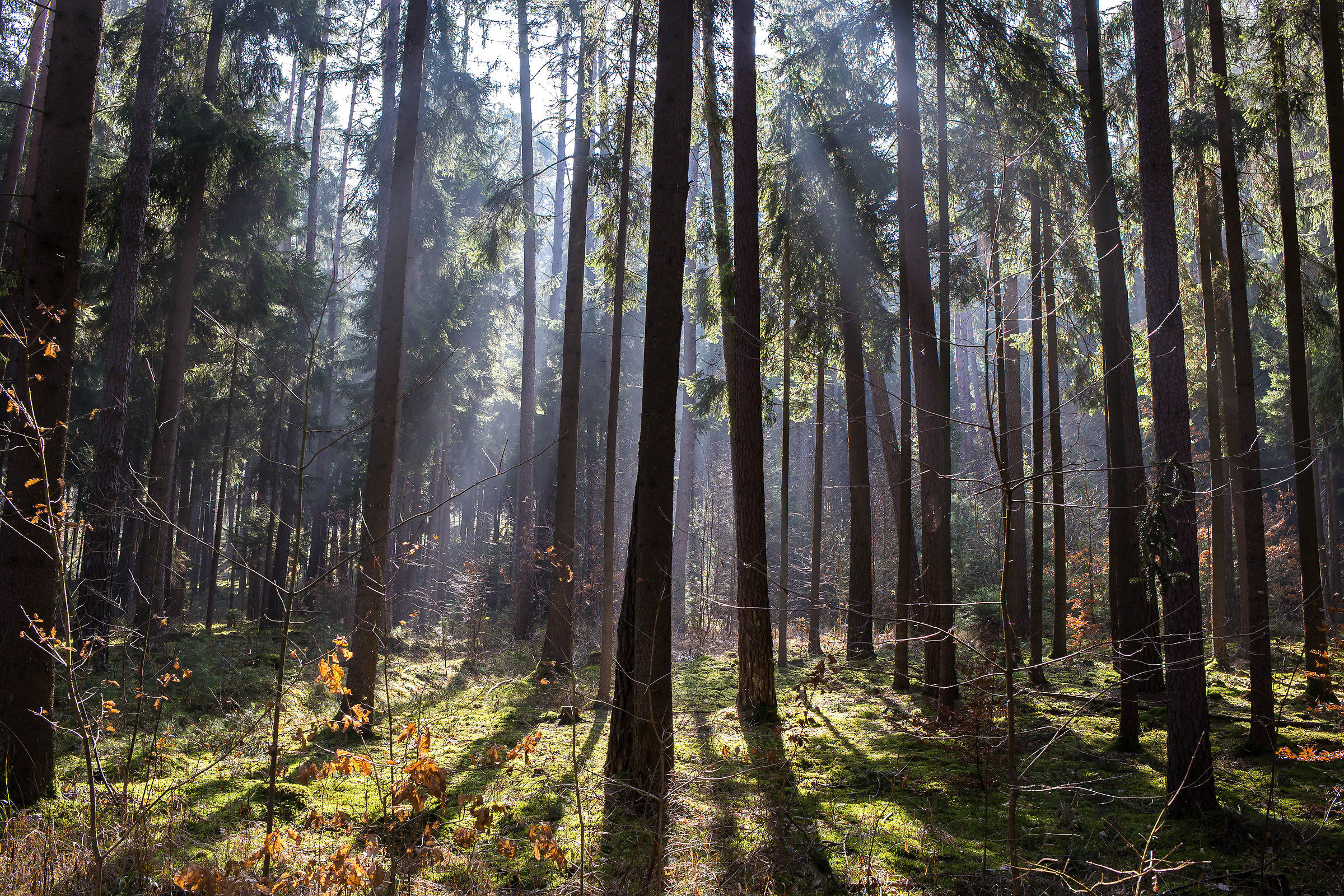 E soprattutto un grande silenzio