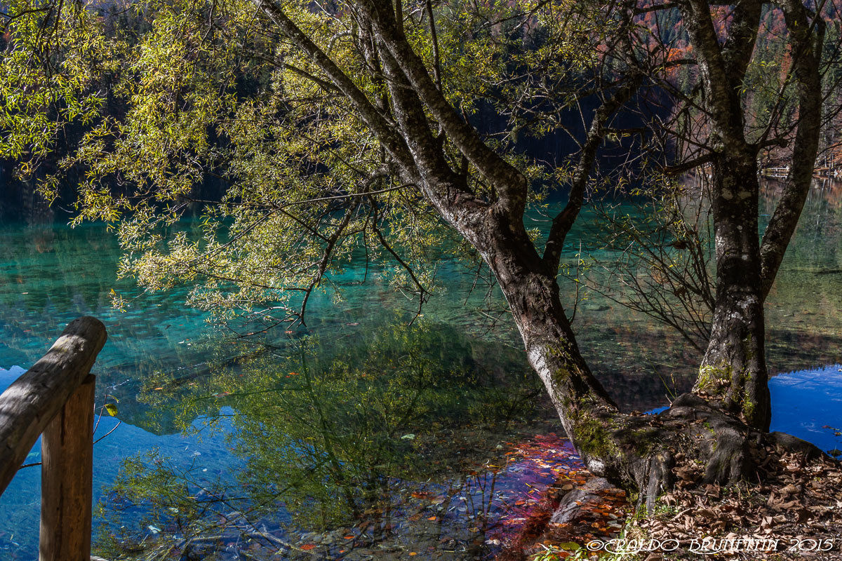 Laghi di Fusine (ud)
