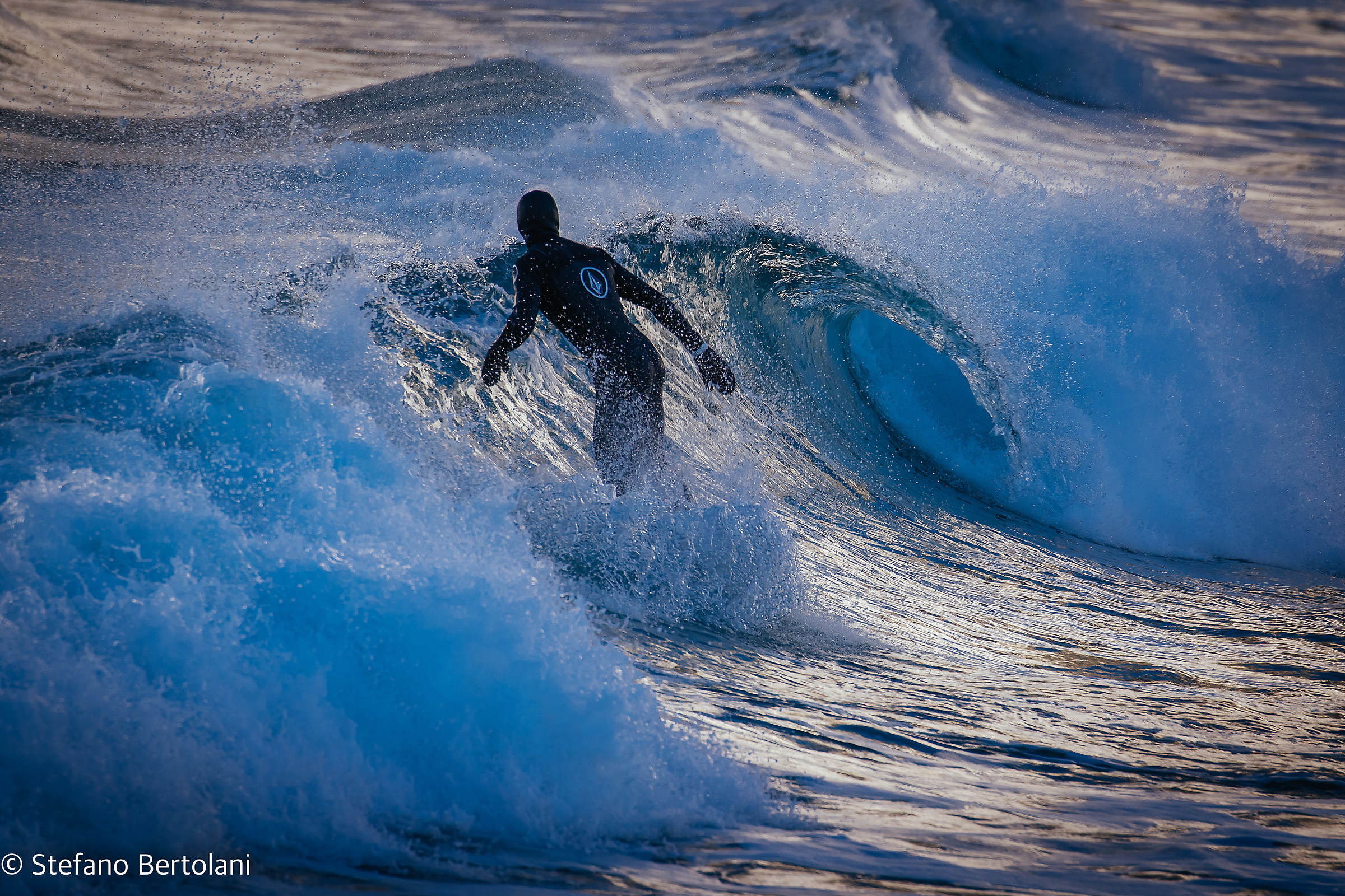 One afternoon by lions