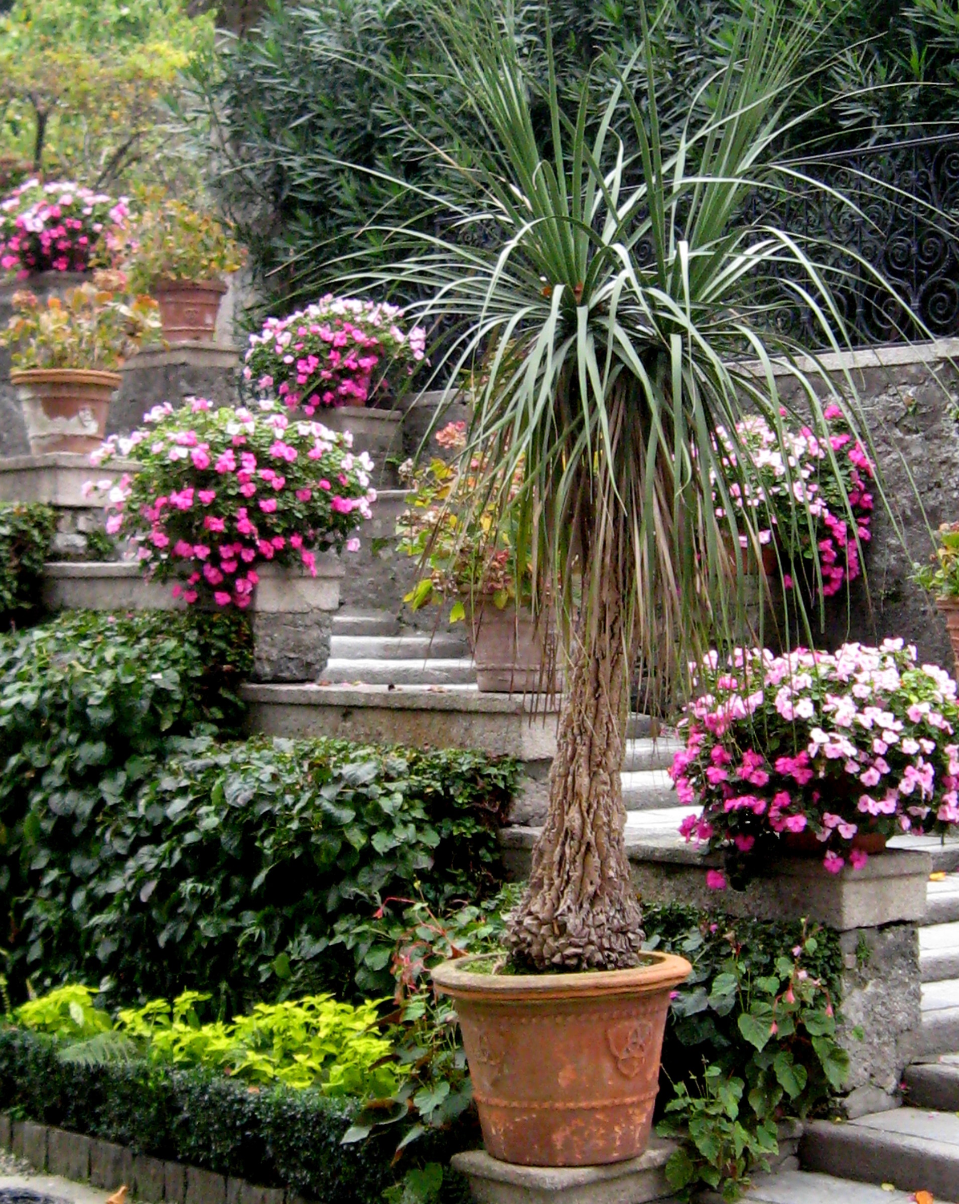 special garden Isola Bella