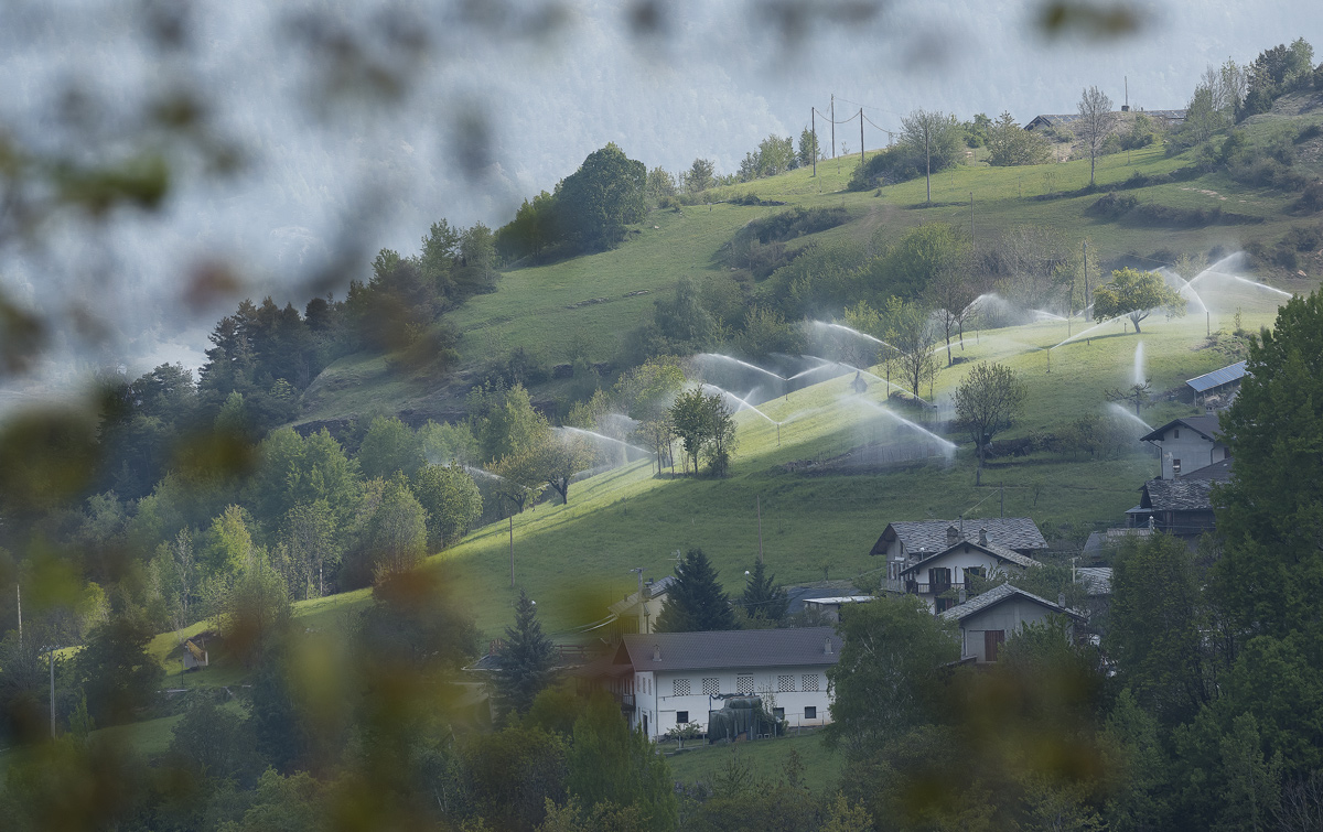 If it does not rain...