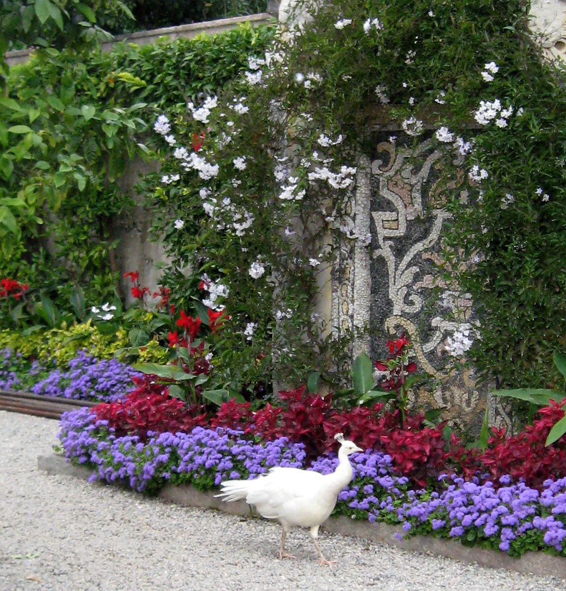 Beautiful-Island Lake Maggiore