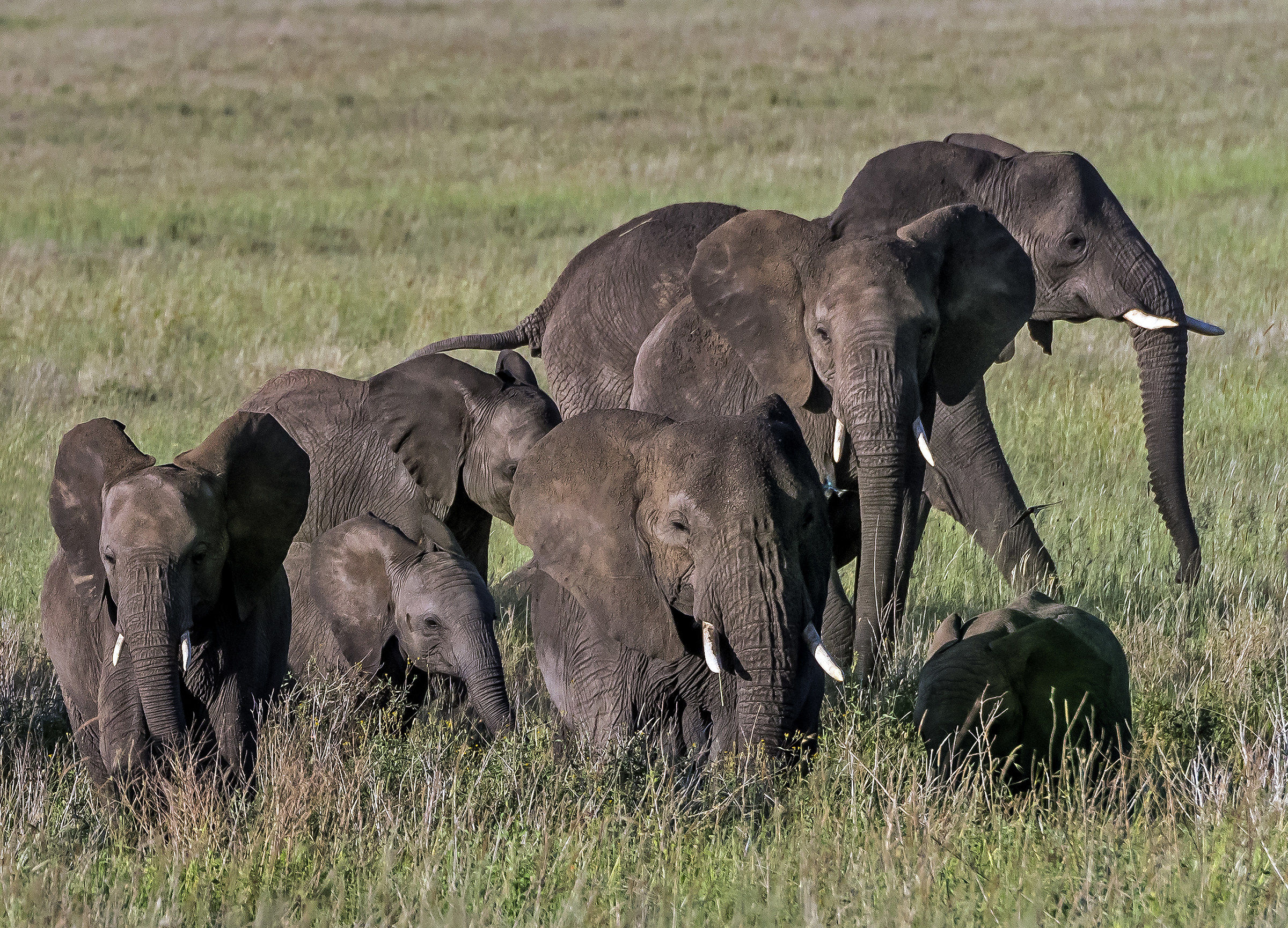 Tanzania 2017 - Famiglia
