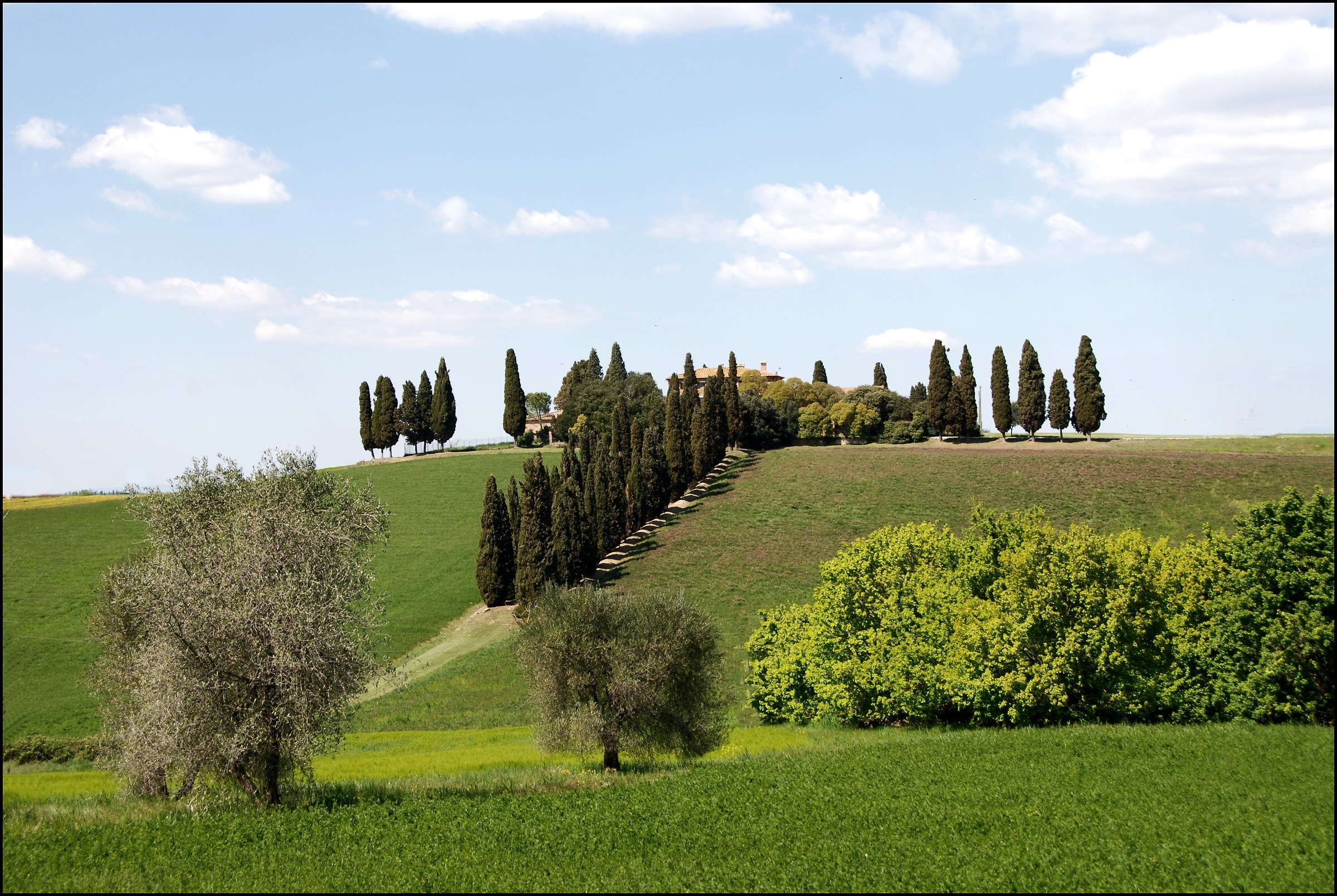 Qua e la per la Val d'Orcia