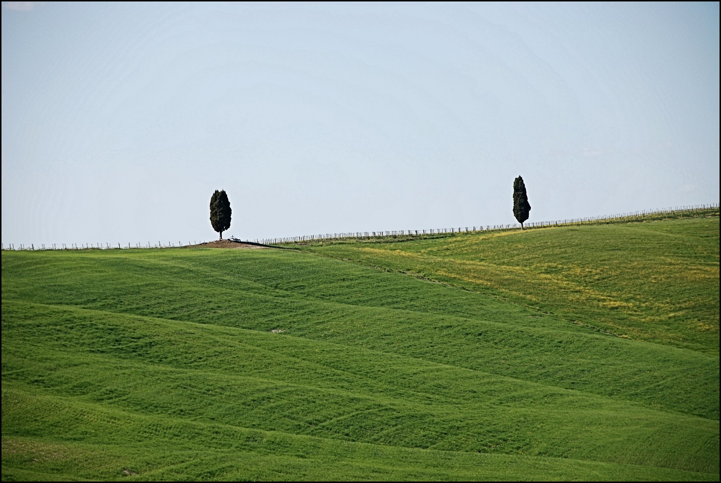 Aristocratici solitari