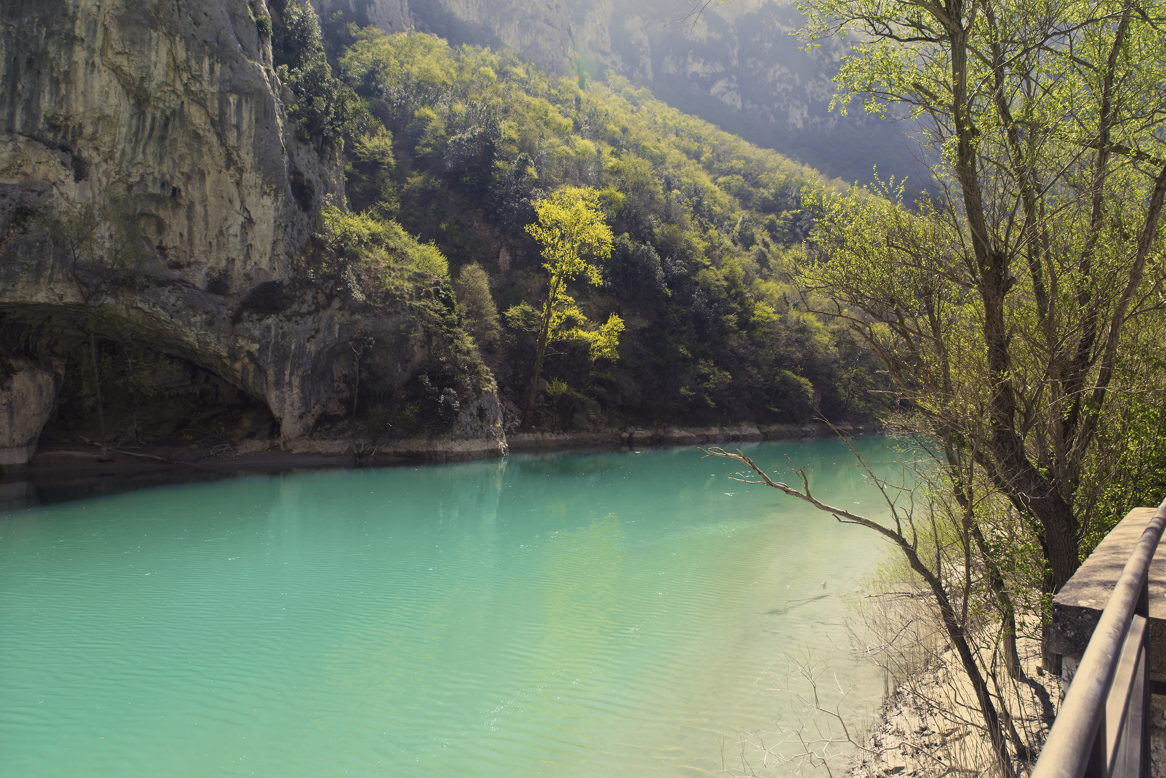 Riserva Naturale Statale Gola del Furlo, Pesaro-Urbino