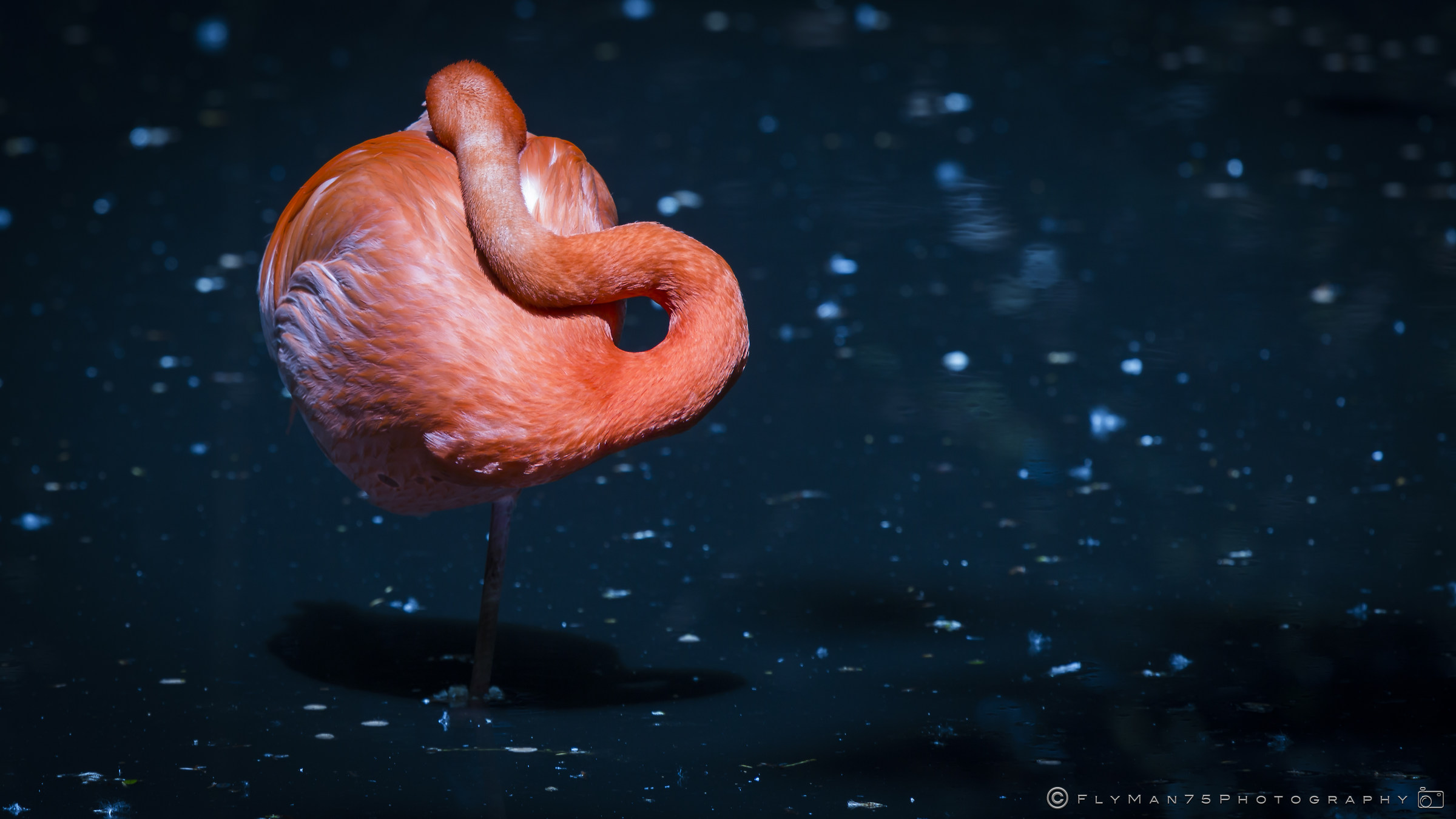 Oasis San'Alessio con Vialone (pv)