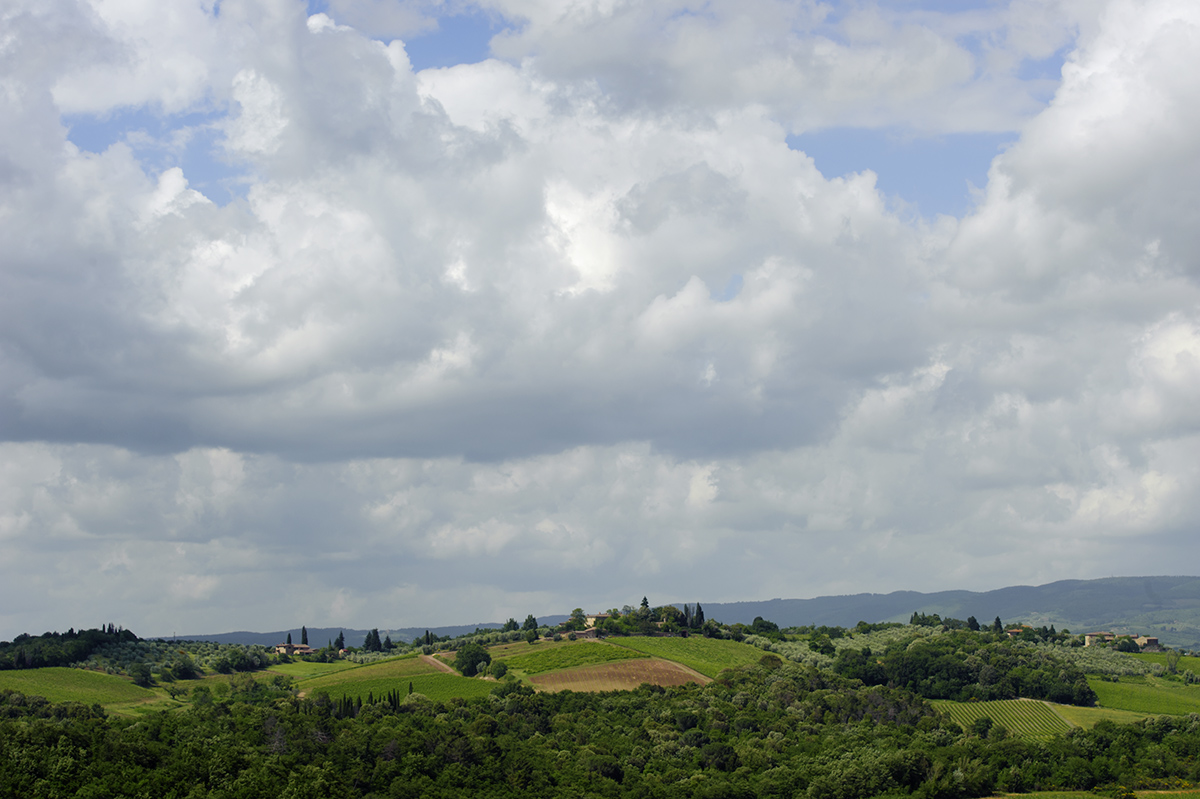 Monteriggioni, la campagna