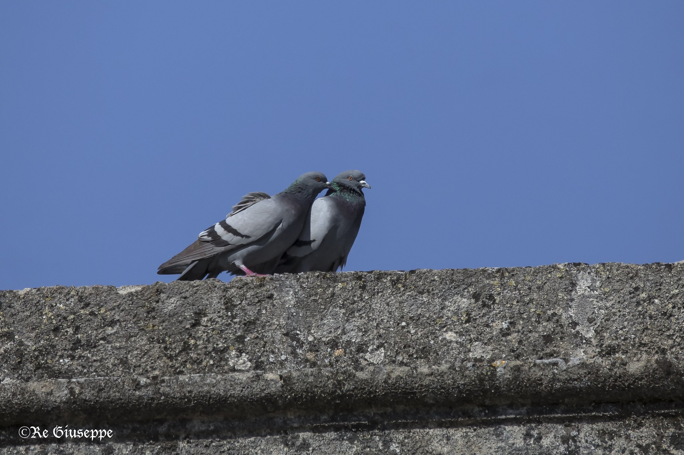 From Wake give me a kiss