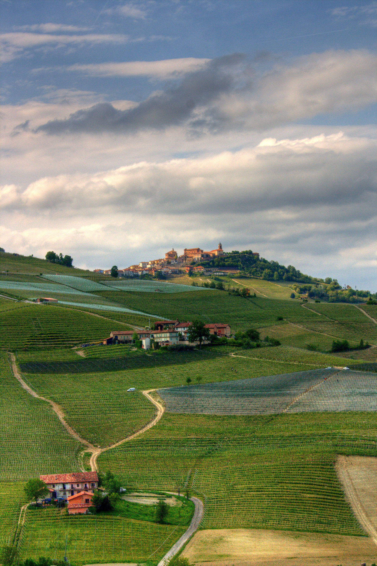 sfumature nelle langhe