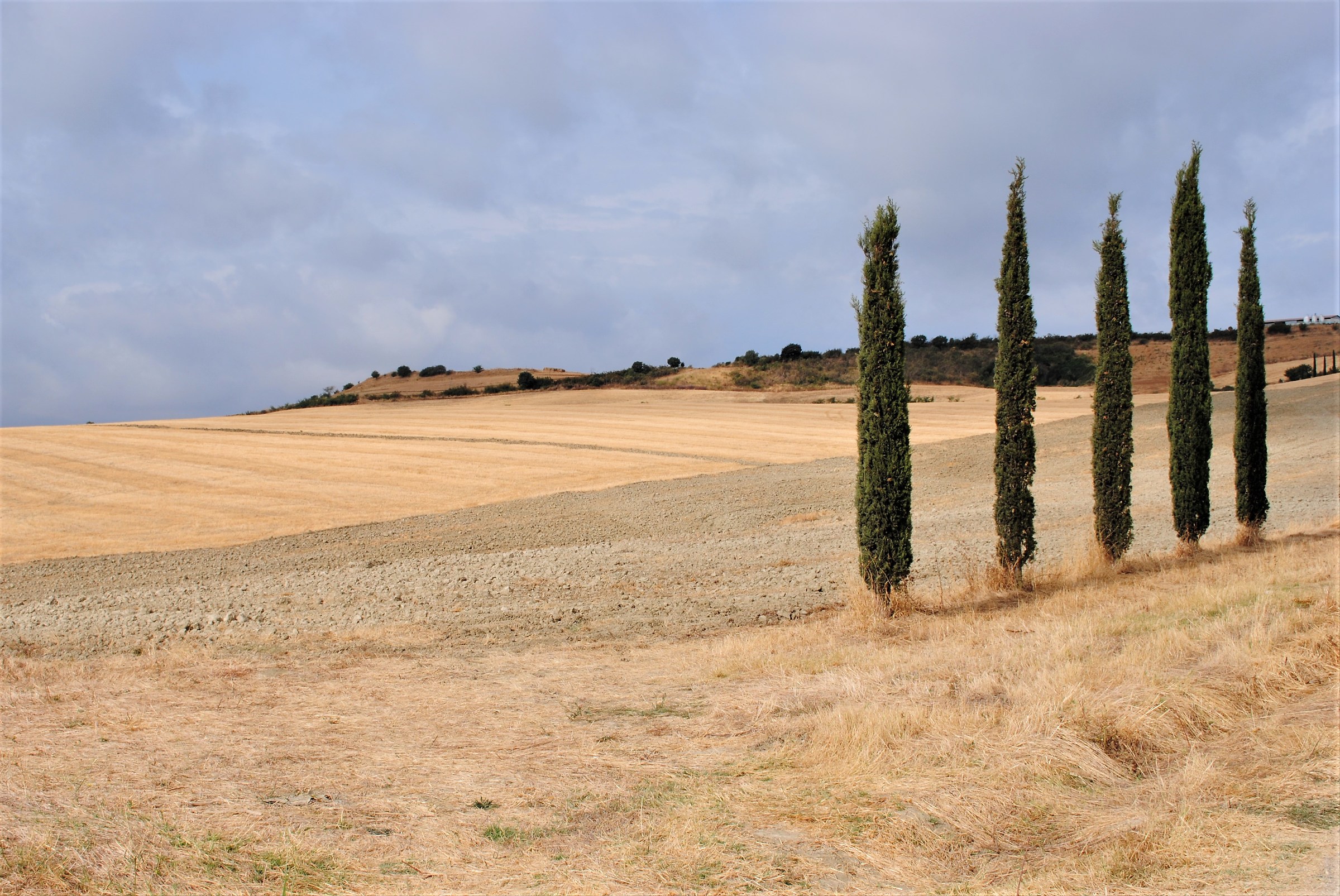Maremma