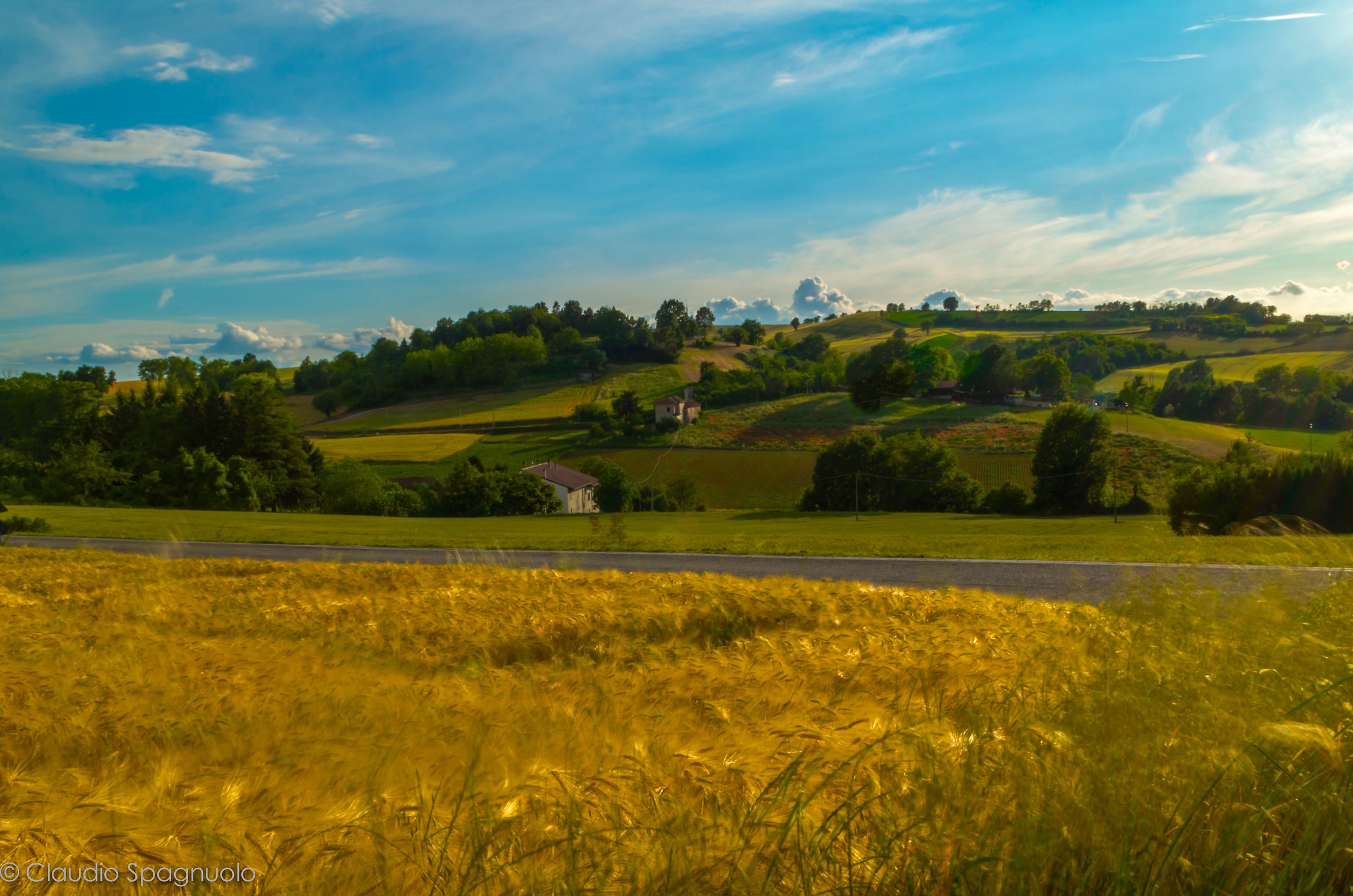 The landscape as a self-portrait [cit.]