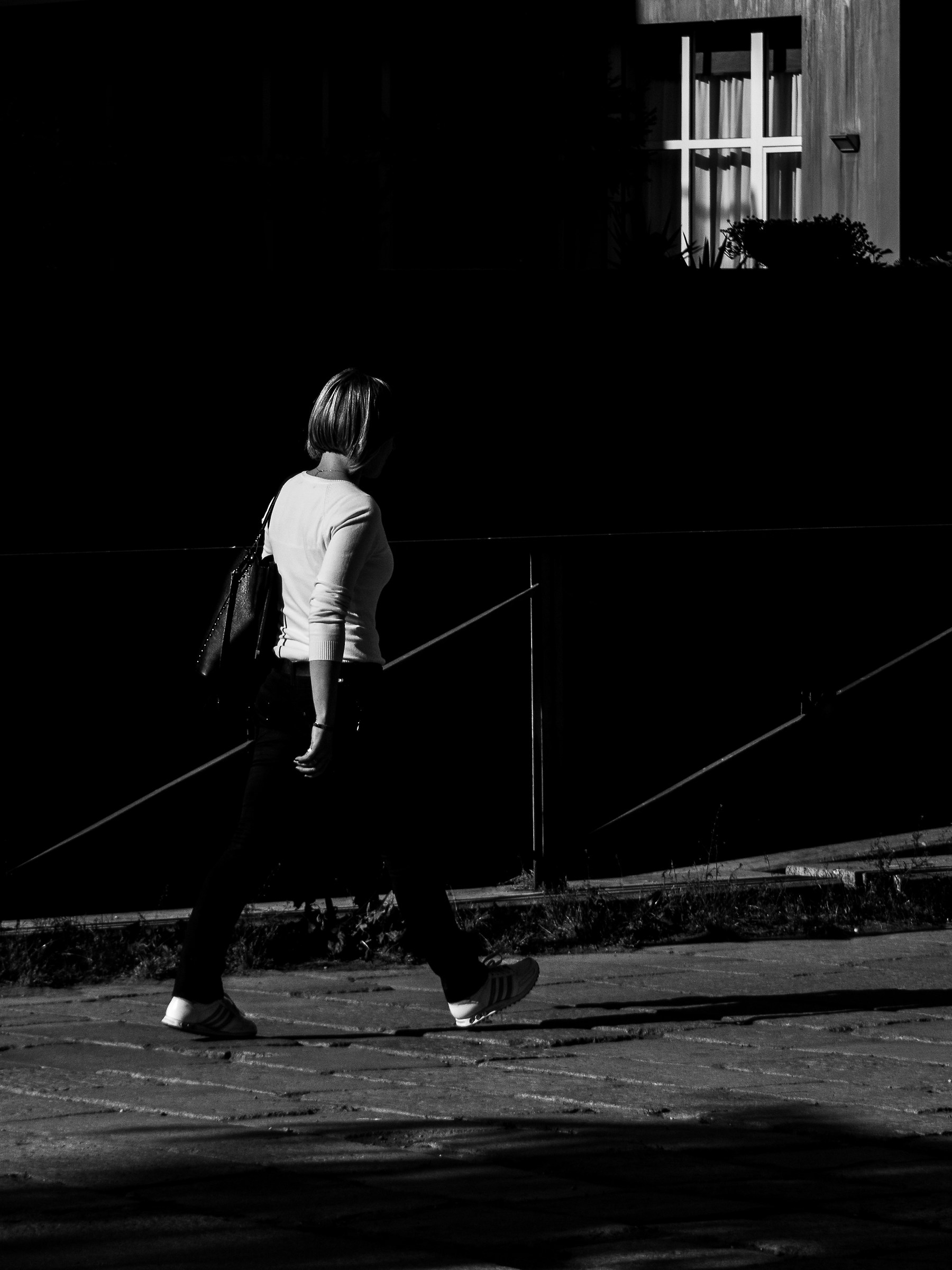 la finestra sul cortile