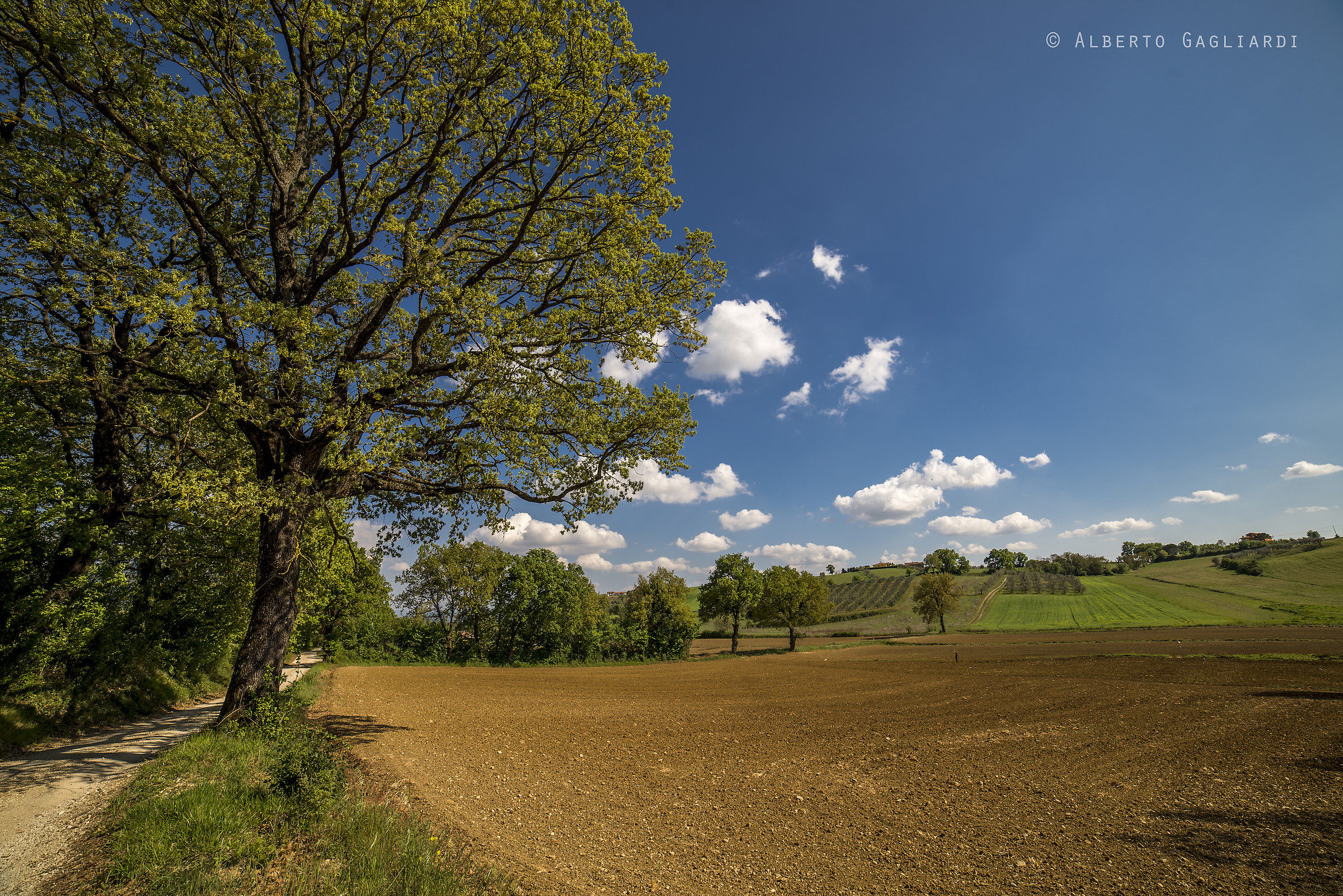 Tipico Scorcio Umbro