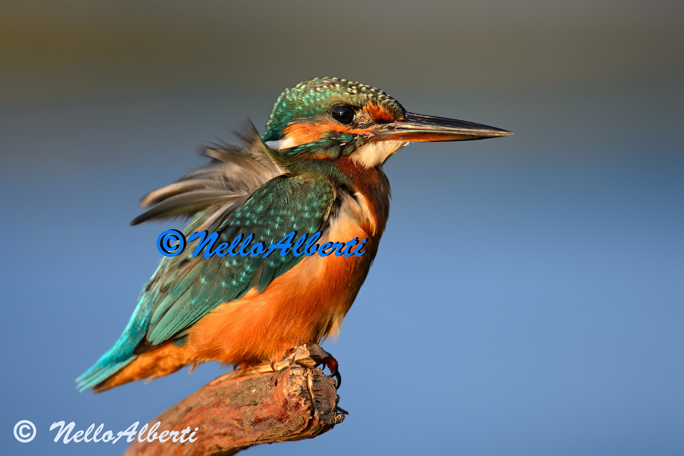 martino al  tramonto