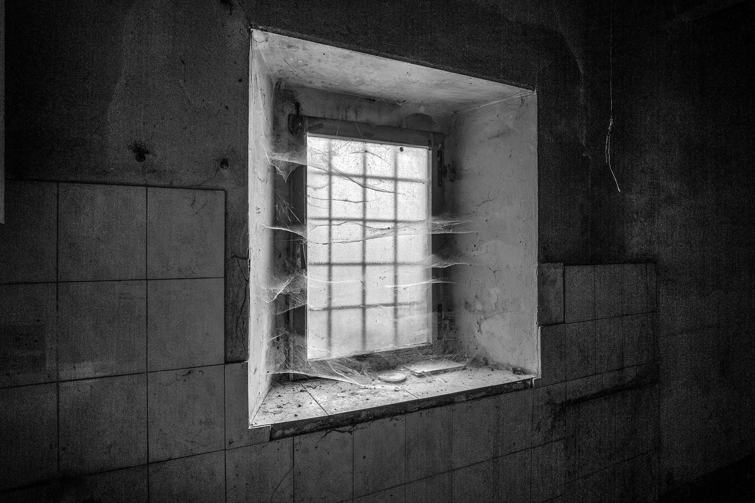 The canvas of the spider