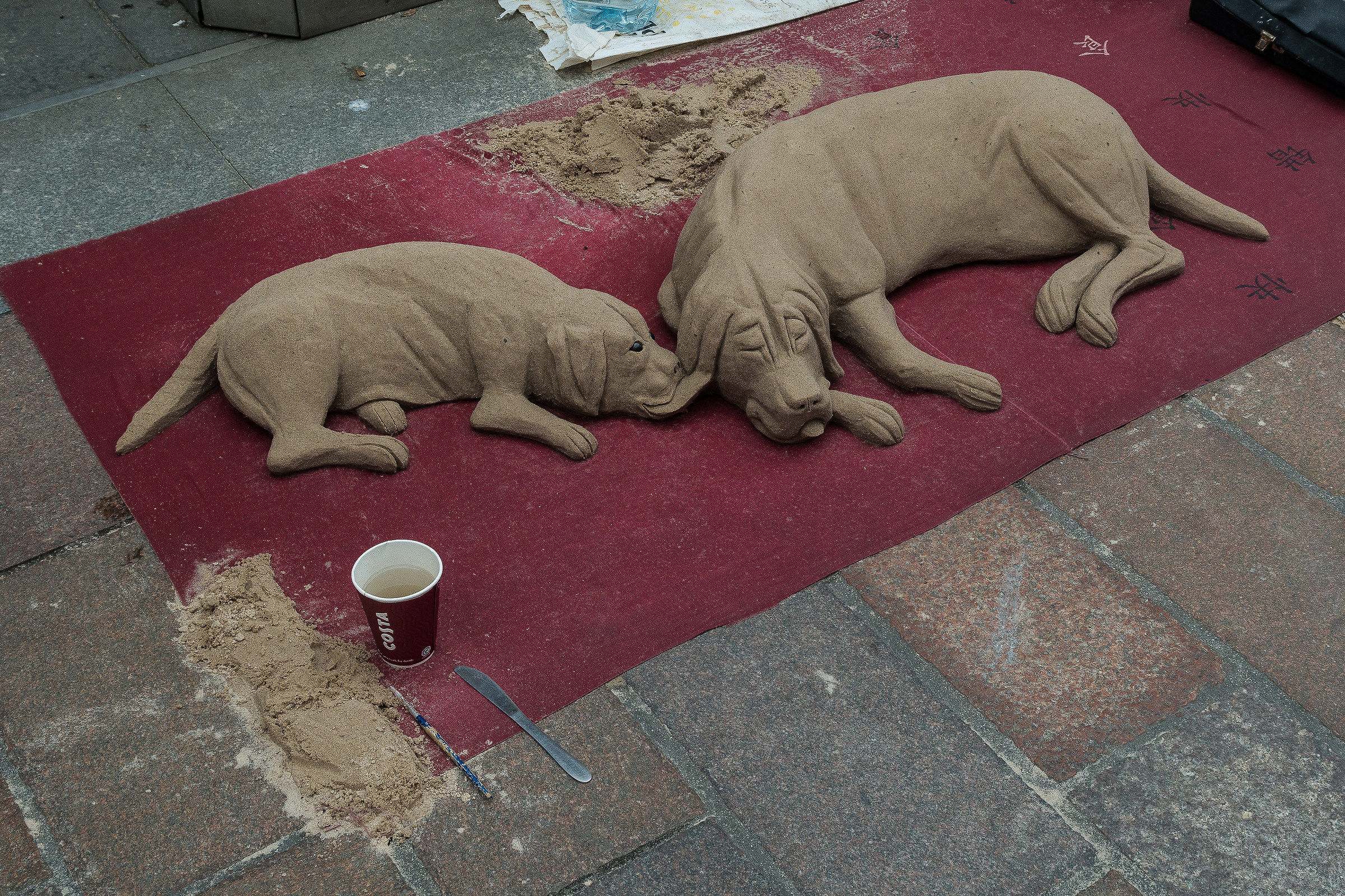 Glasgow sand dogs