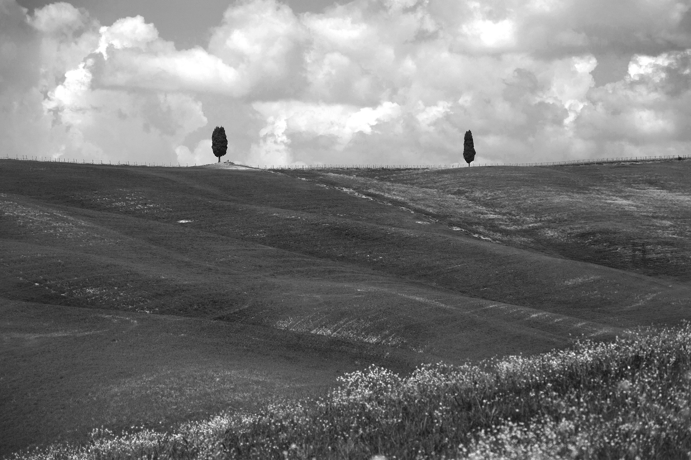 Crete Senesi