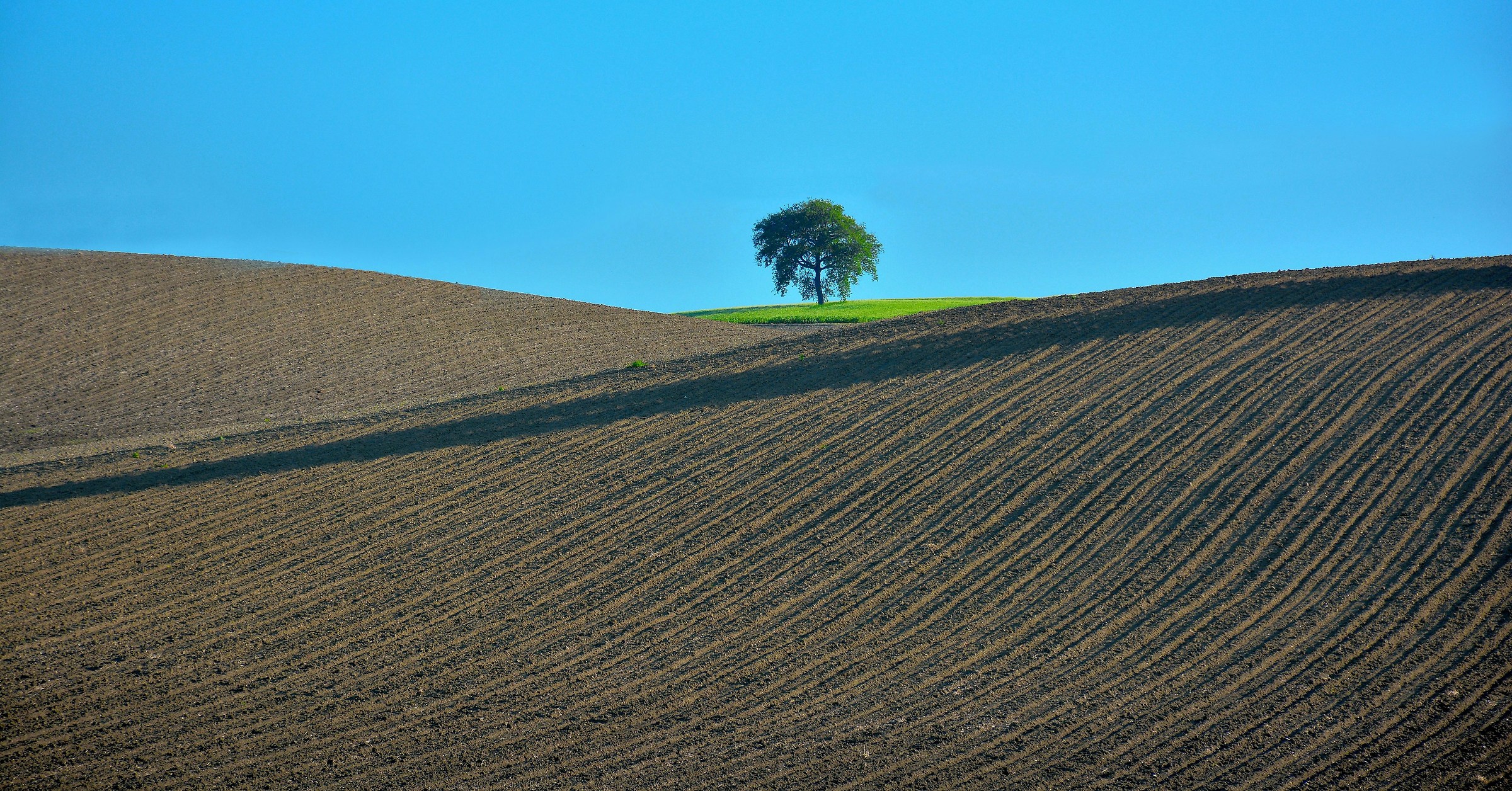 Ultimi Bagliori di un Giorno che Muore