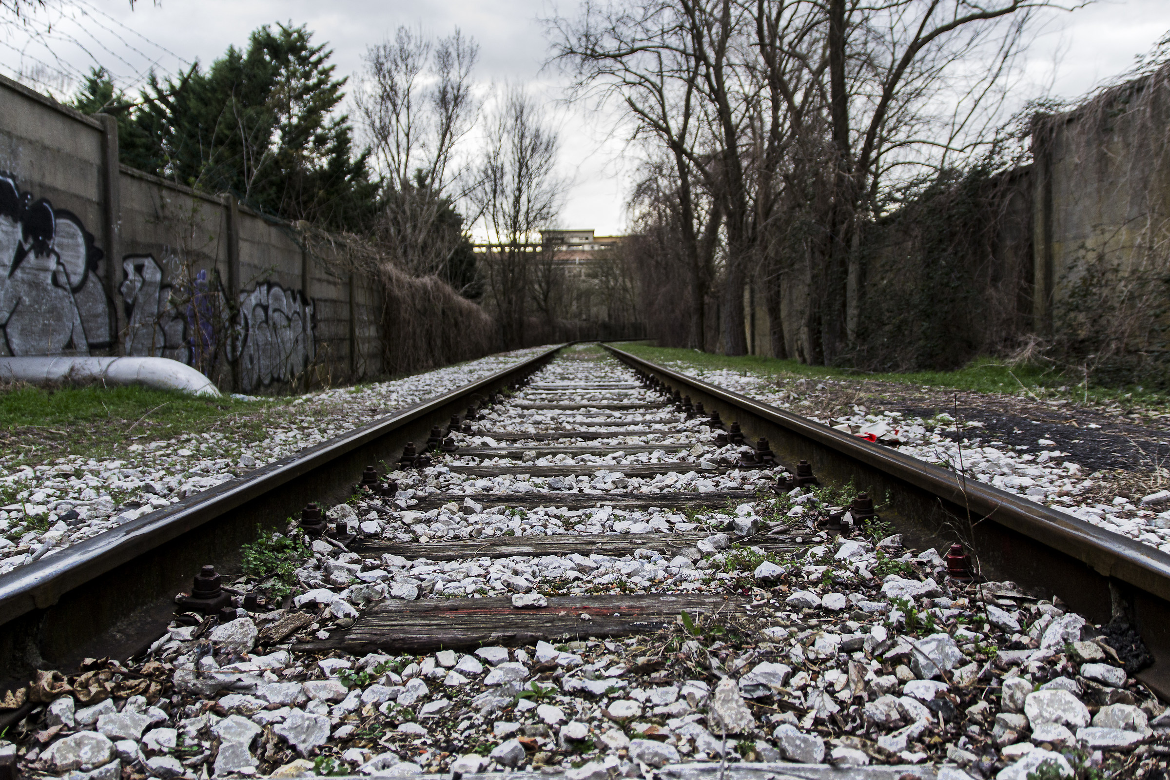 abandoned rails