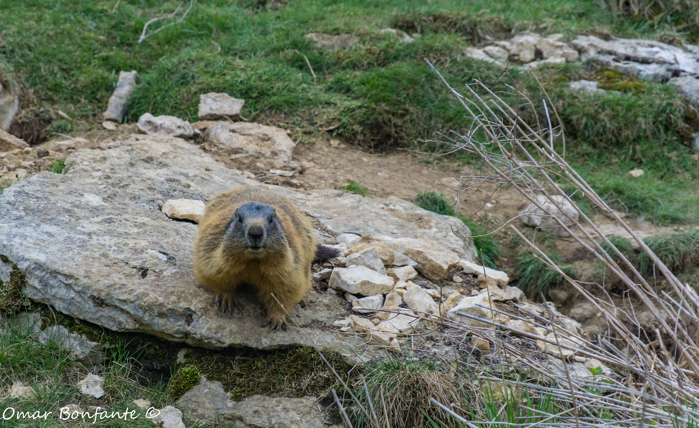 Incontri in montagna 3