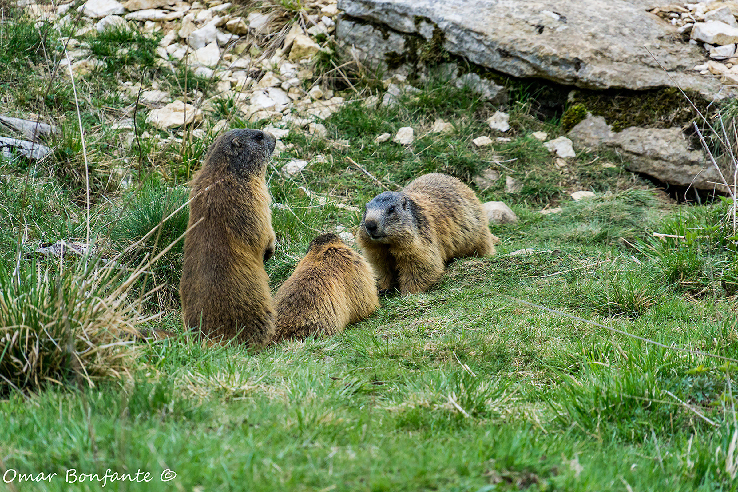Incontri in montagna 1