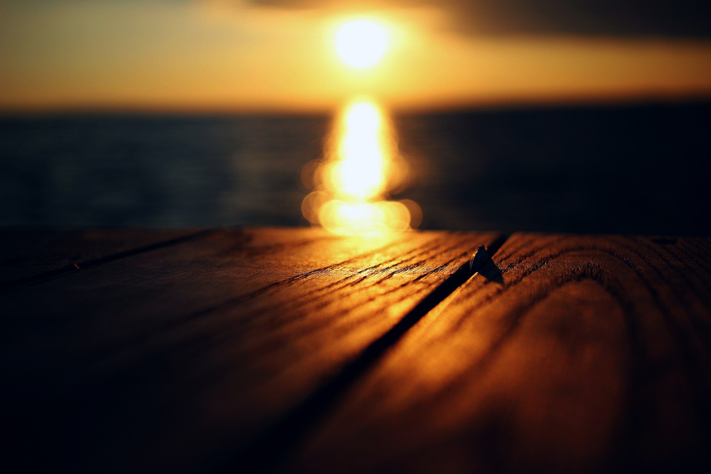 seme fuori suolo del tramonto