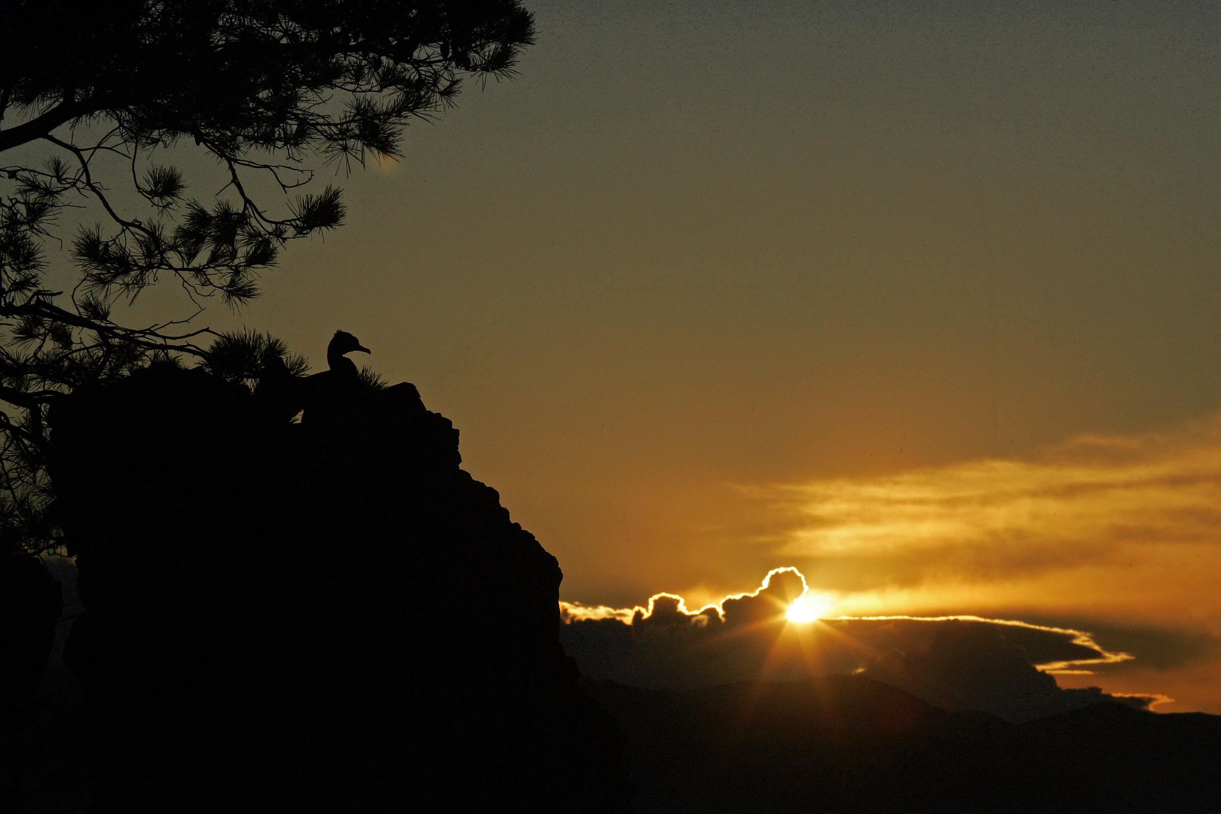 Ammirando il tramonto