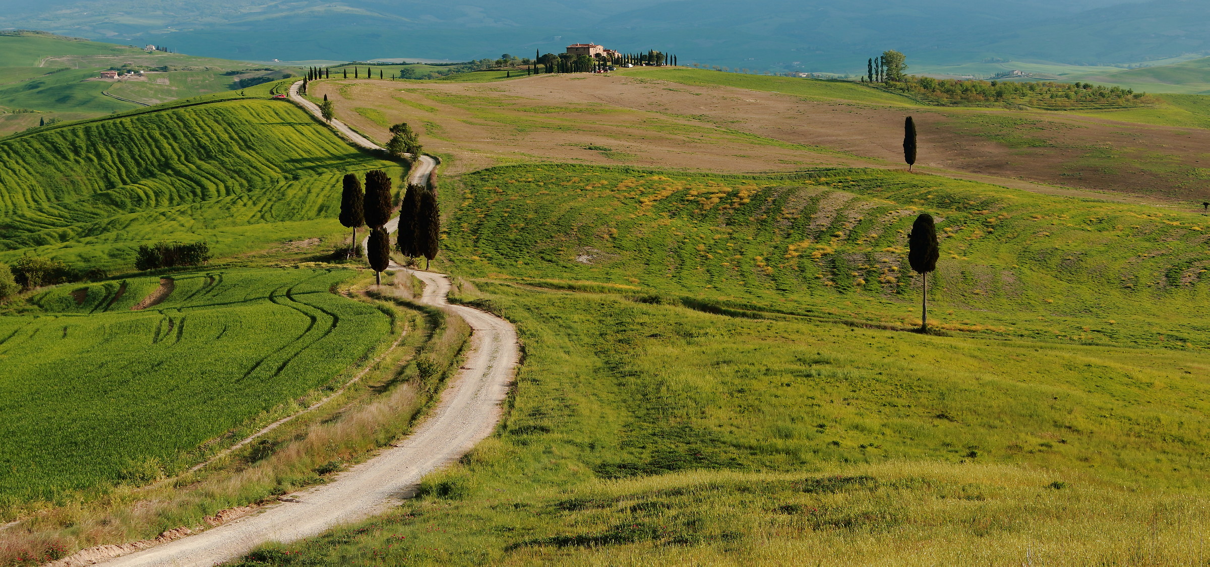 sulle vie del Gladiatore ---torrepille
