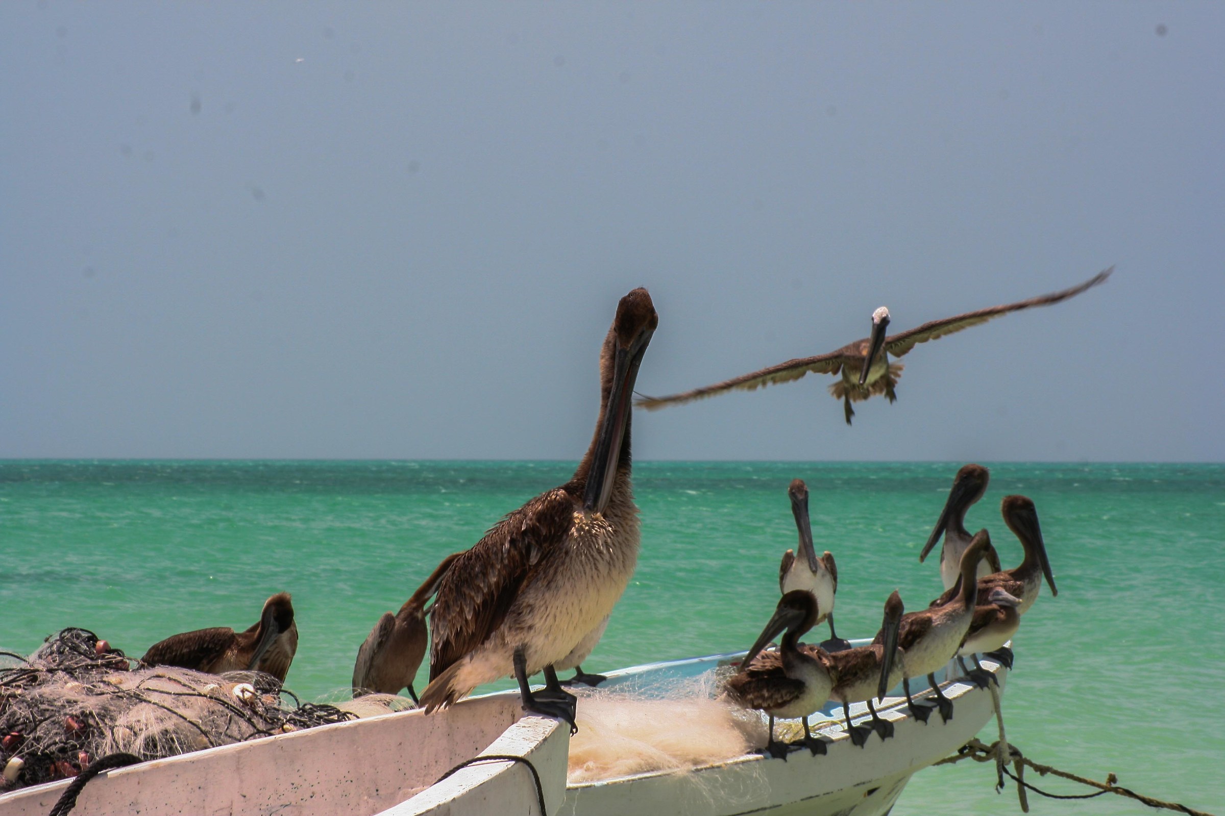 Waiting for fishermen