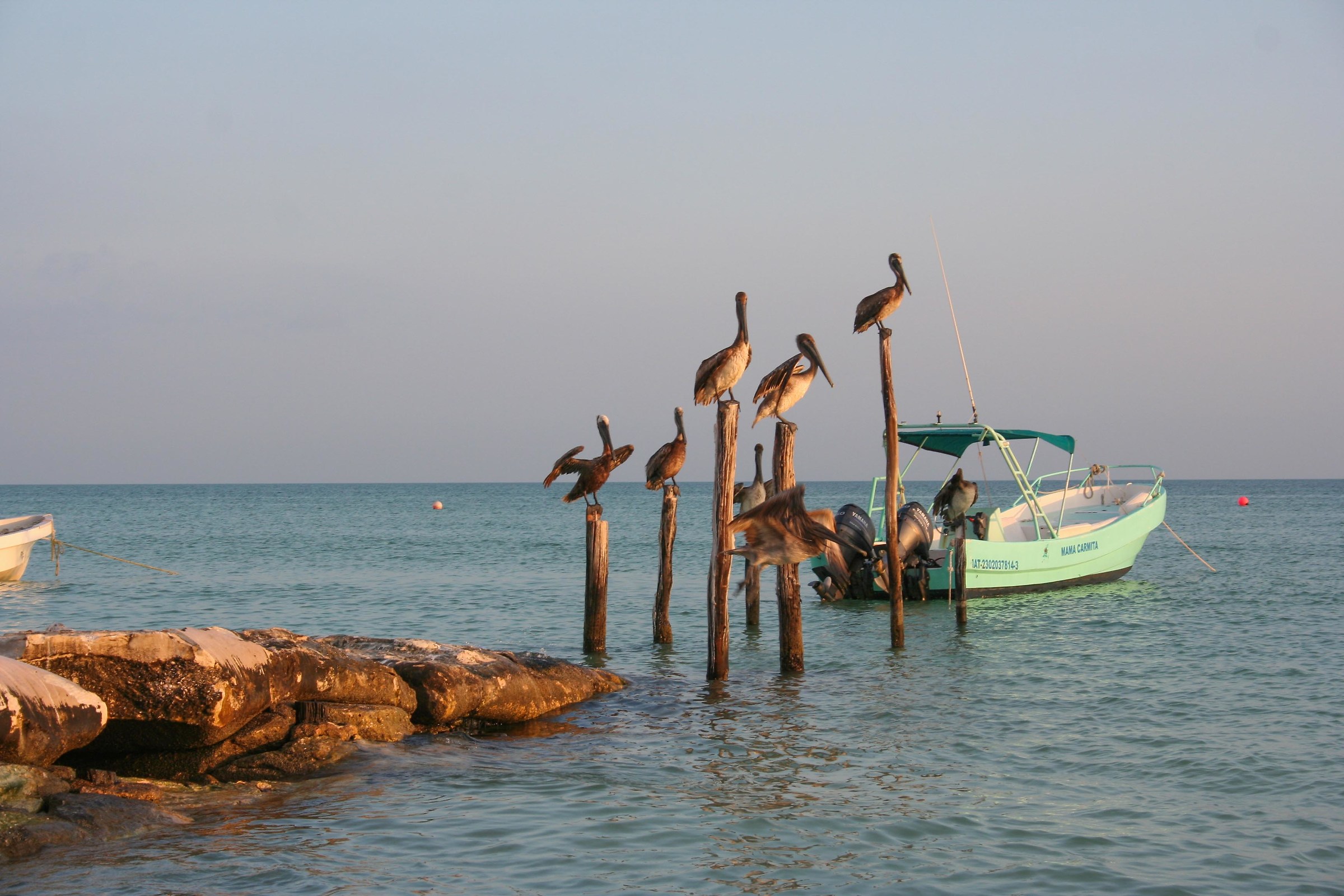 Waiting for fishermen