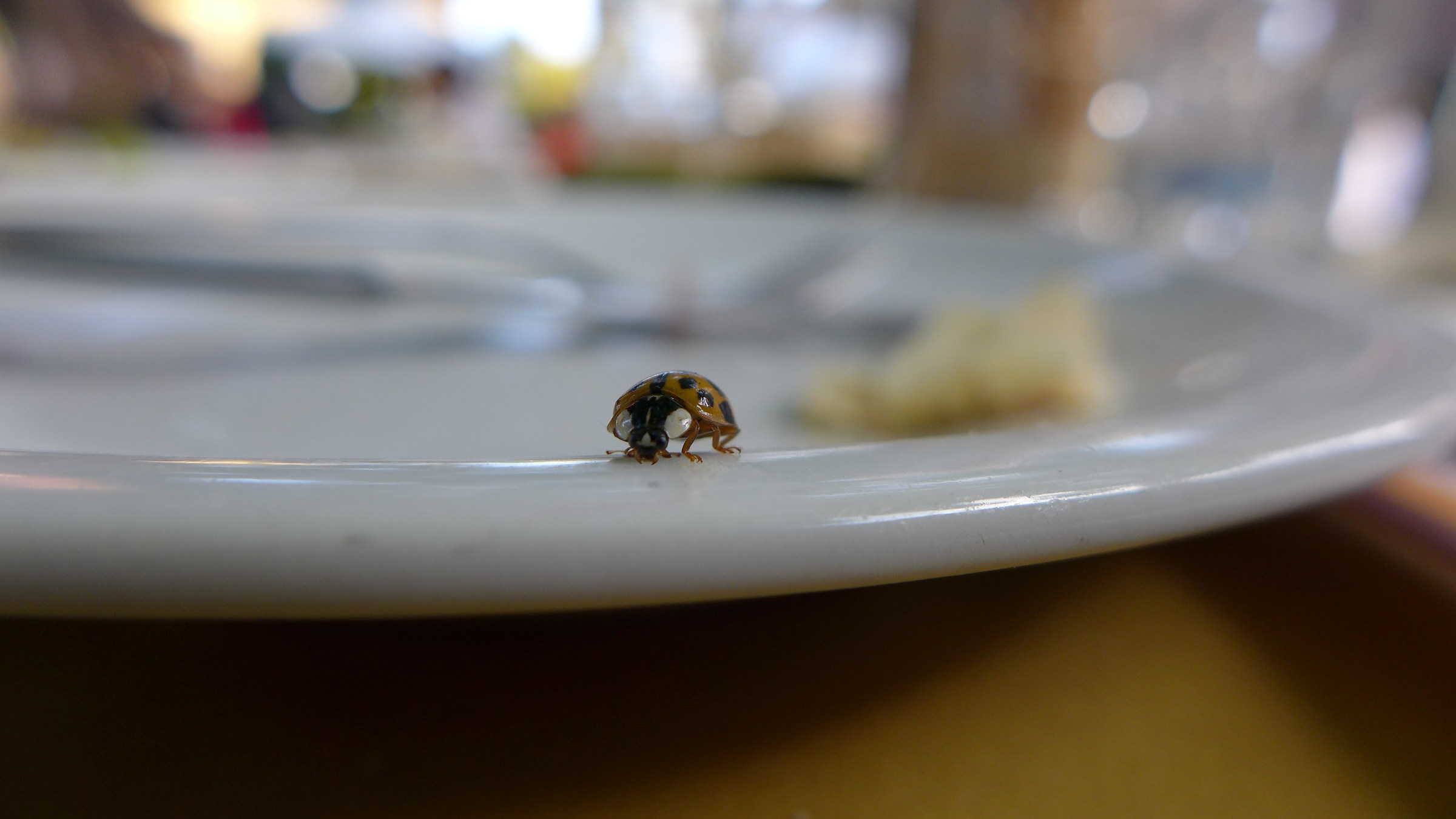 Add a seat at the table