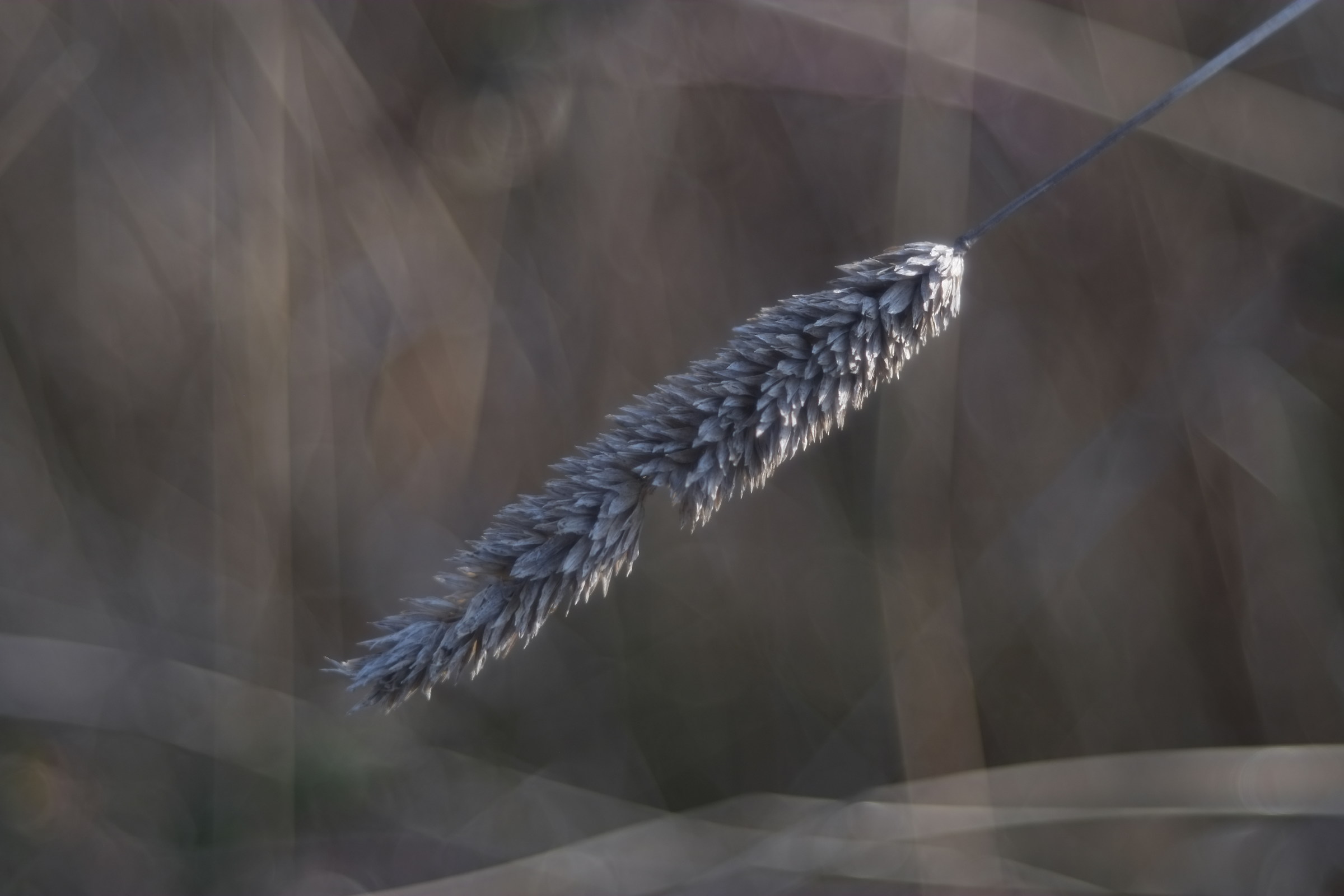 erba 4, Diaplan 80 2.8