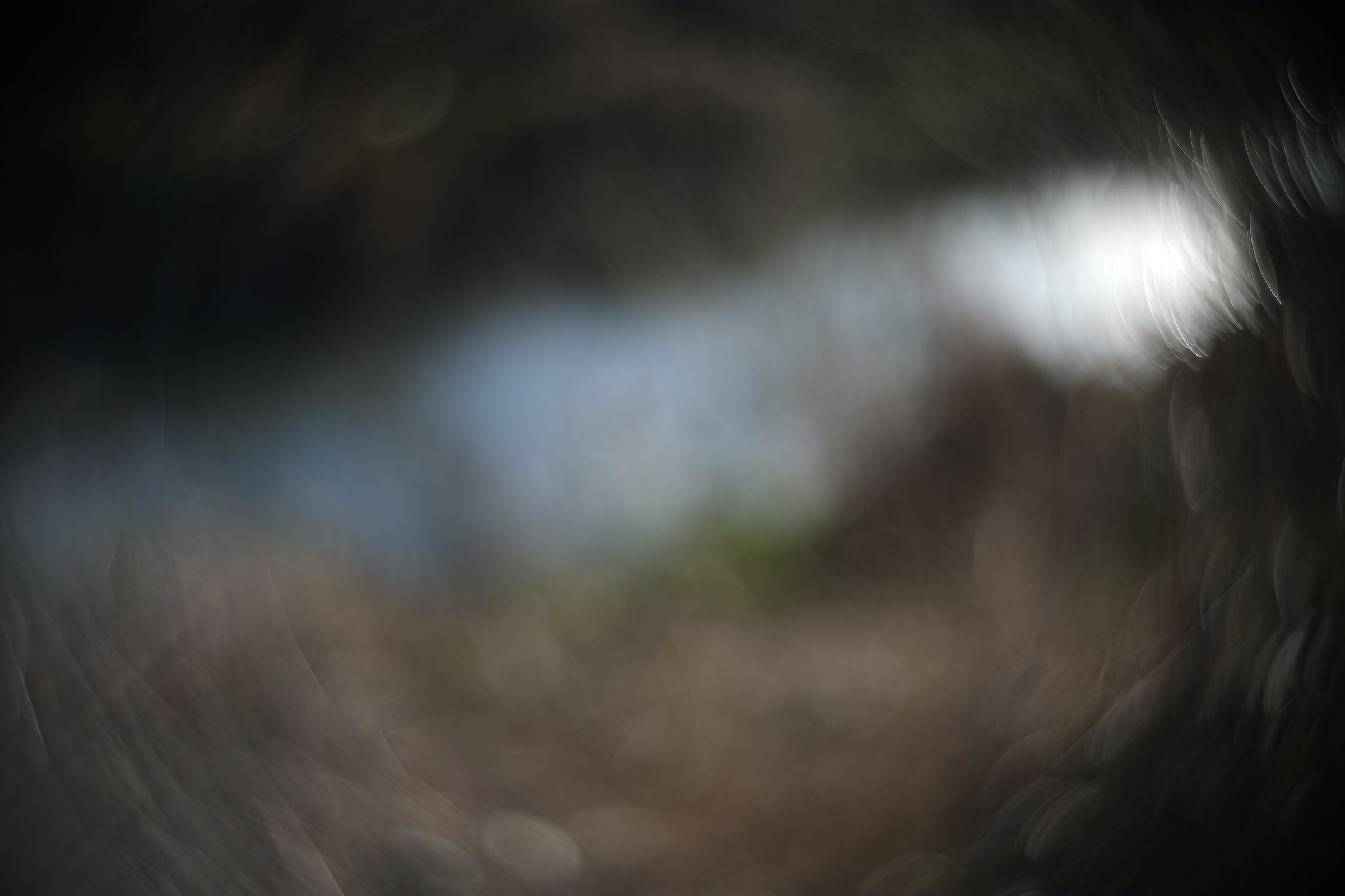 amazon creek, cooke kinic 25 1.5