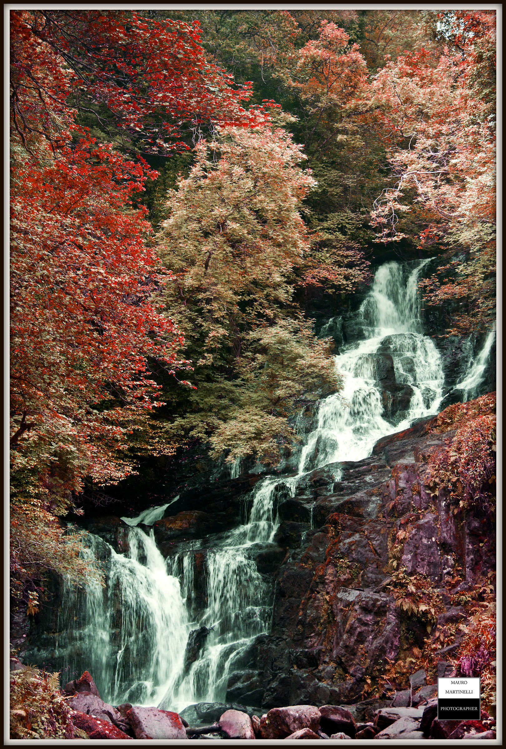 Irlanda , penisola di Dingle